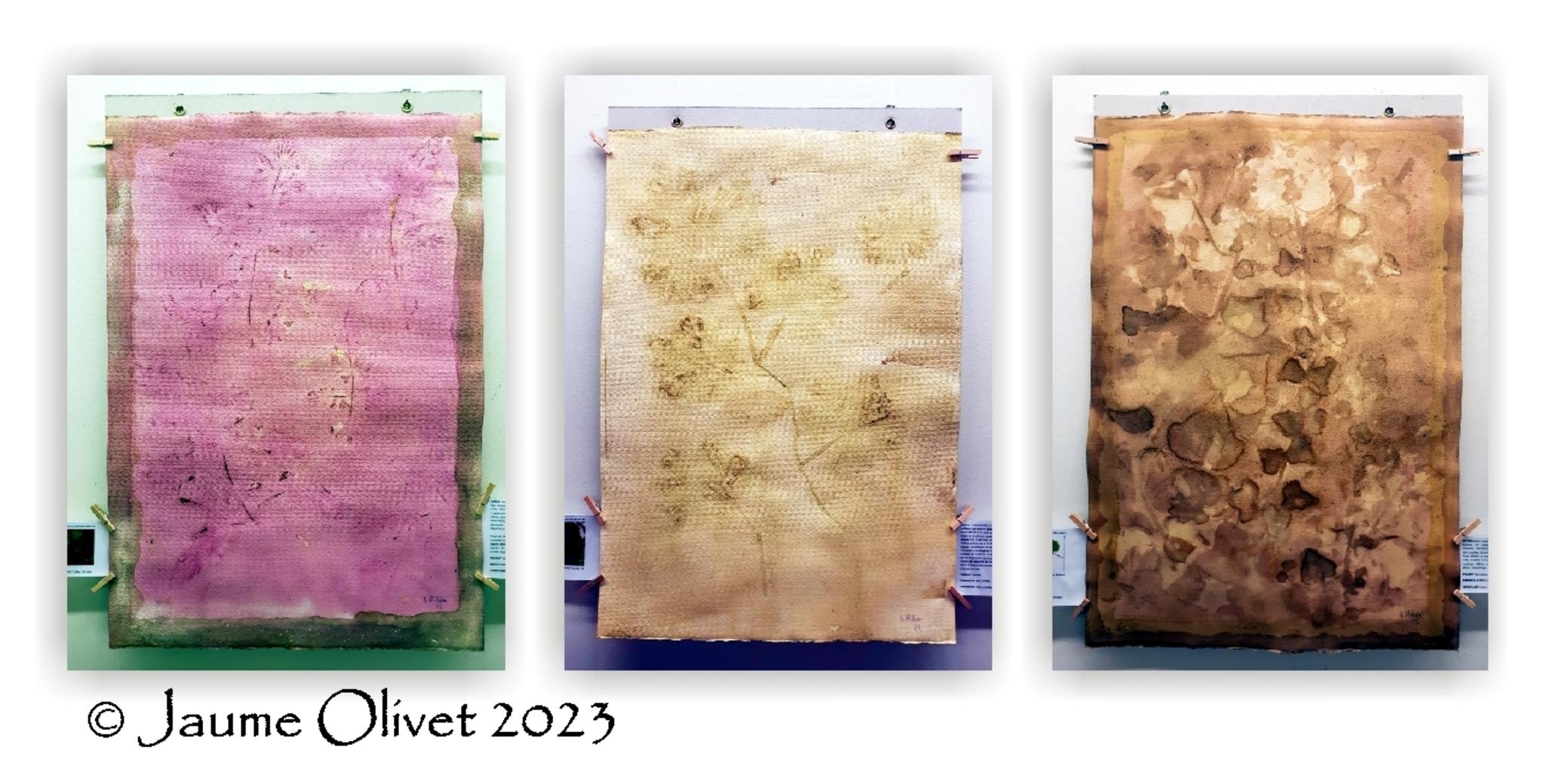  Jaume Olivet 2023
