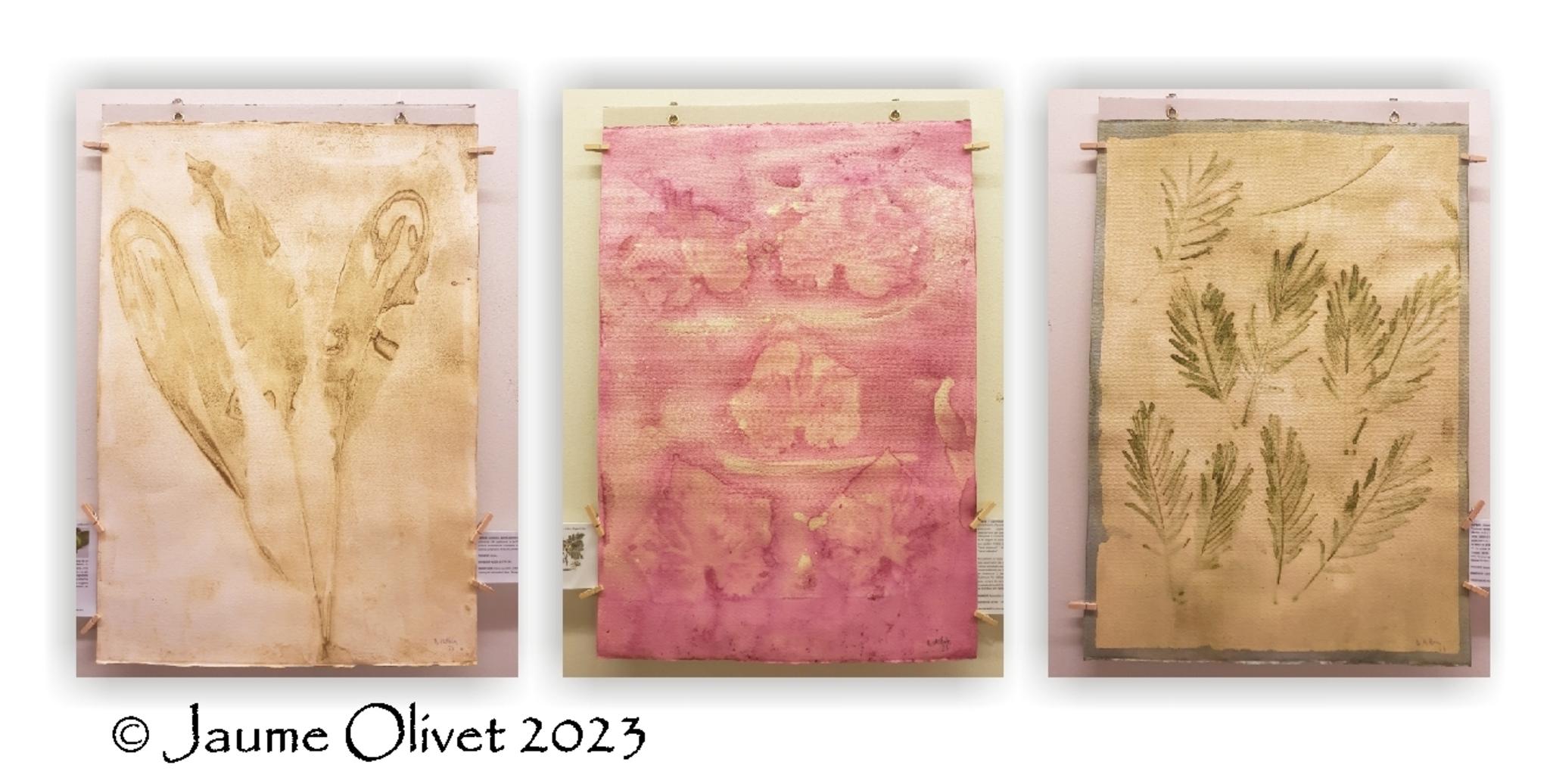  Jaume Olivet 2023