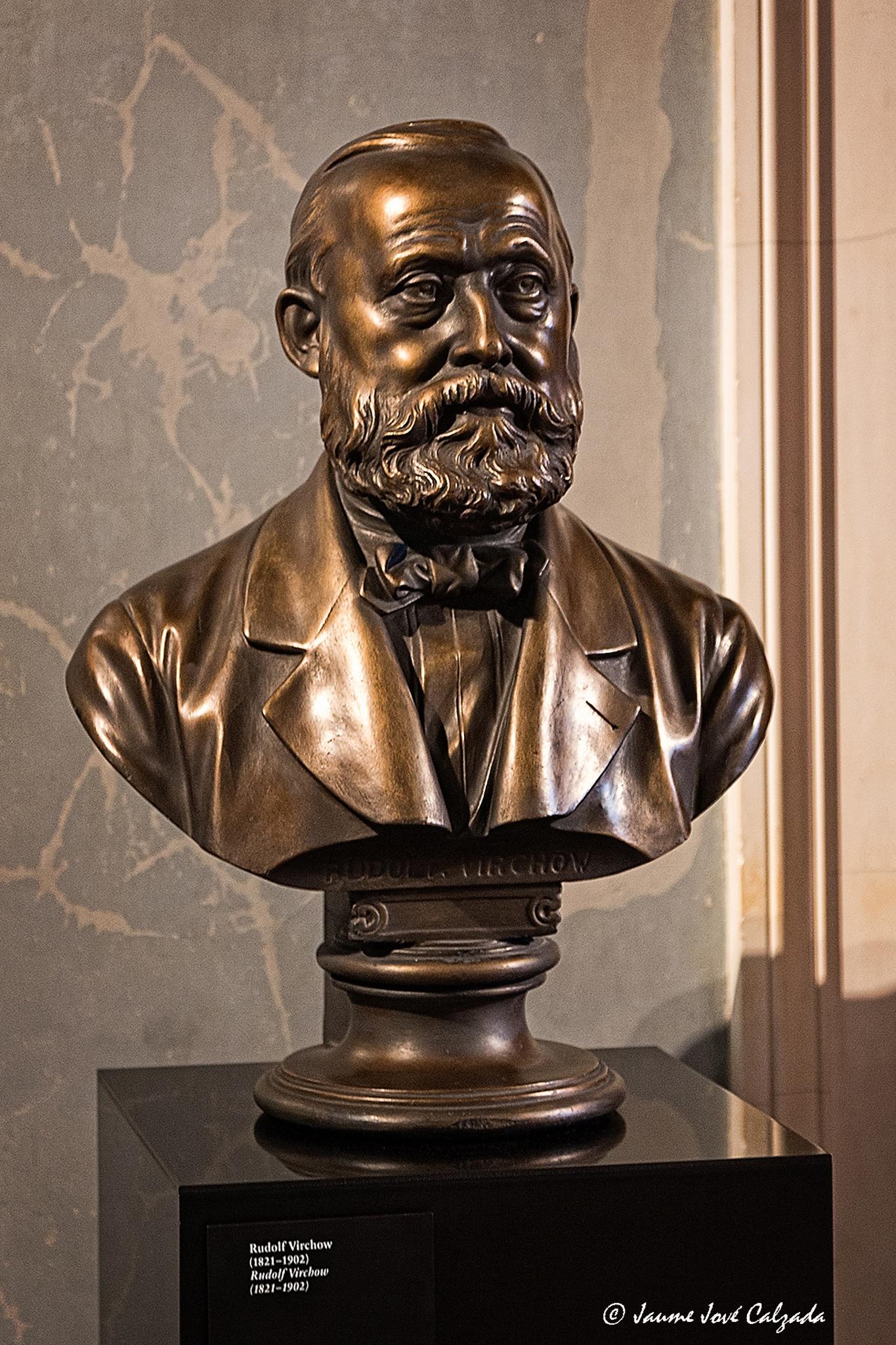  Jaume Jov 2023