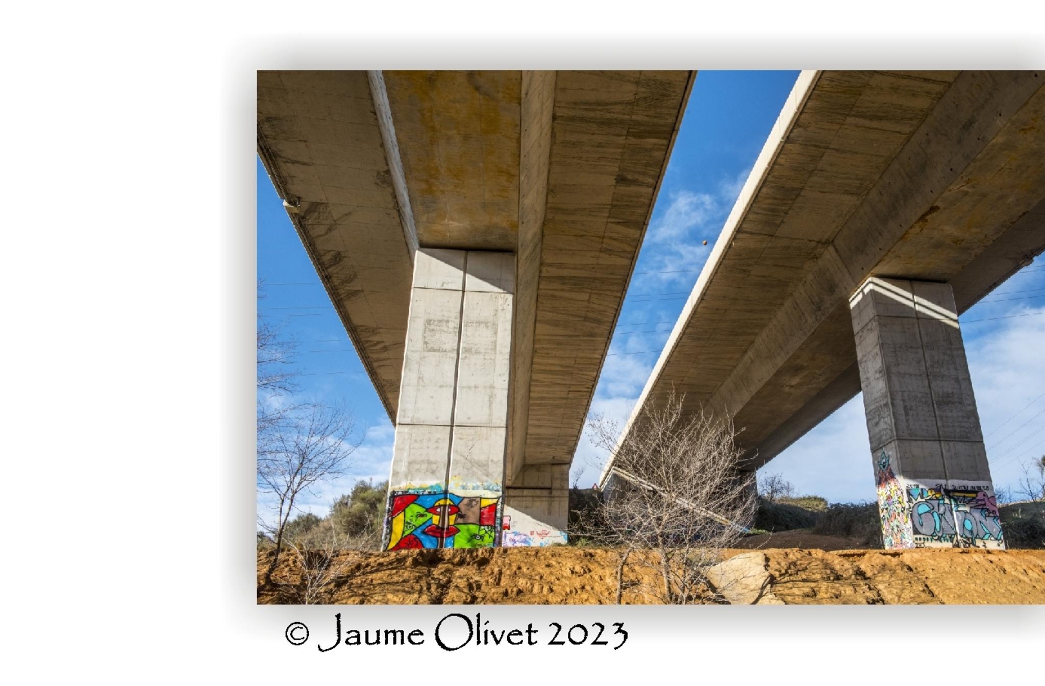  Jaume Olivet 2023