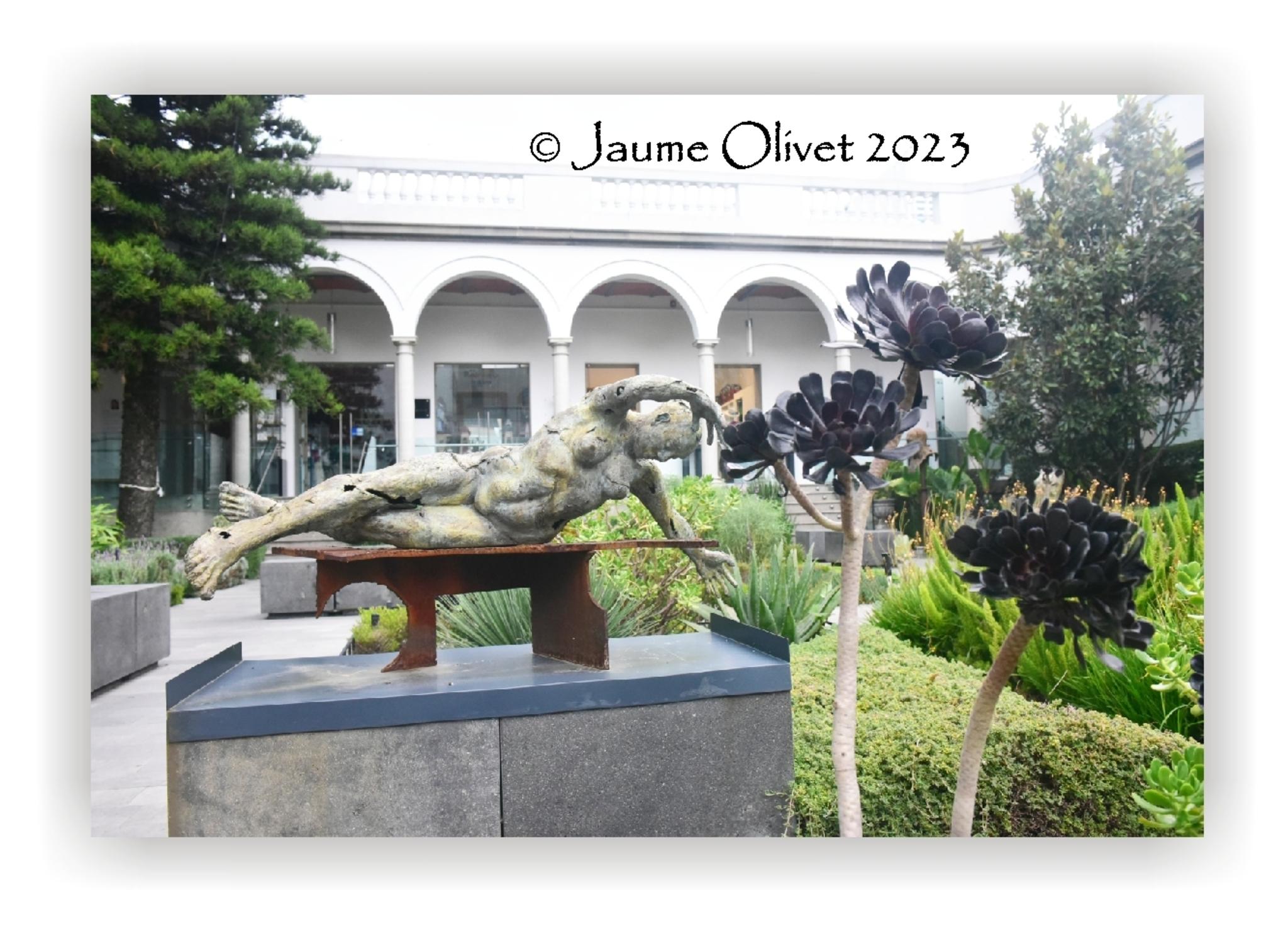 Jaume Olivet 2023