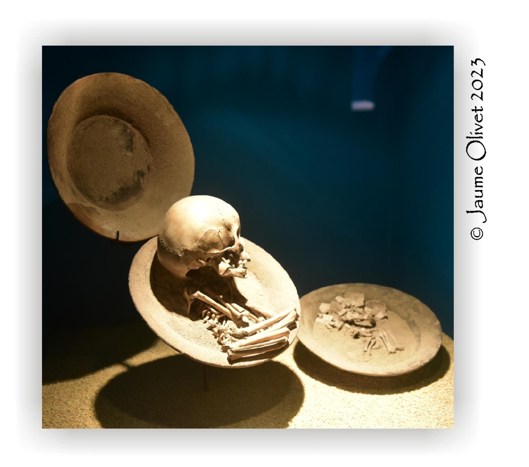  Jaume Olivet 2023
