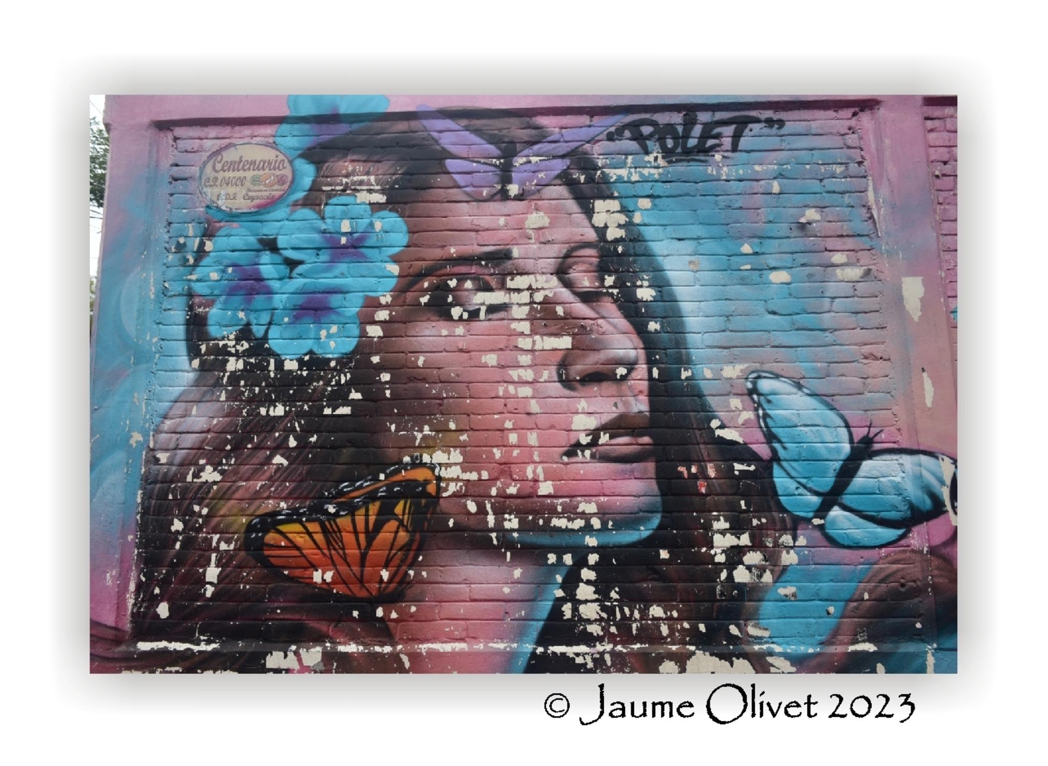  Jaume Olivet 2023