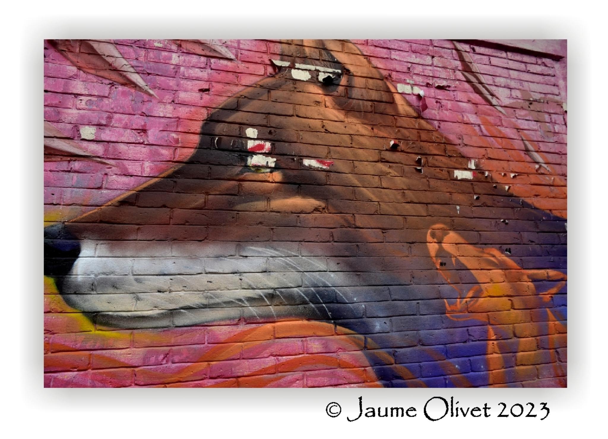  Jaume Olivet 2023