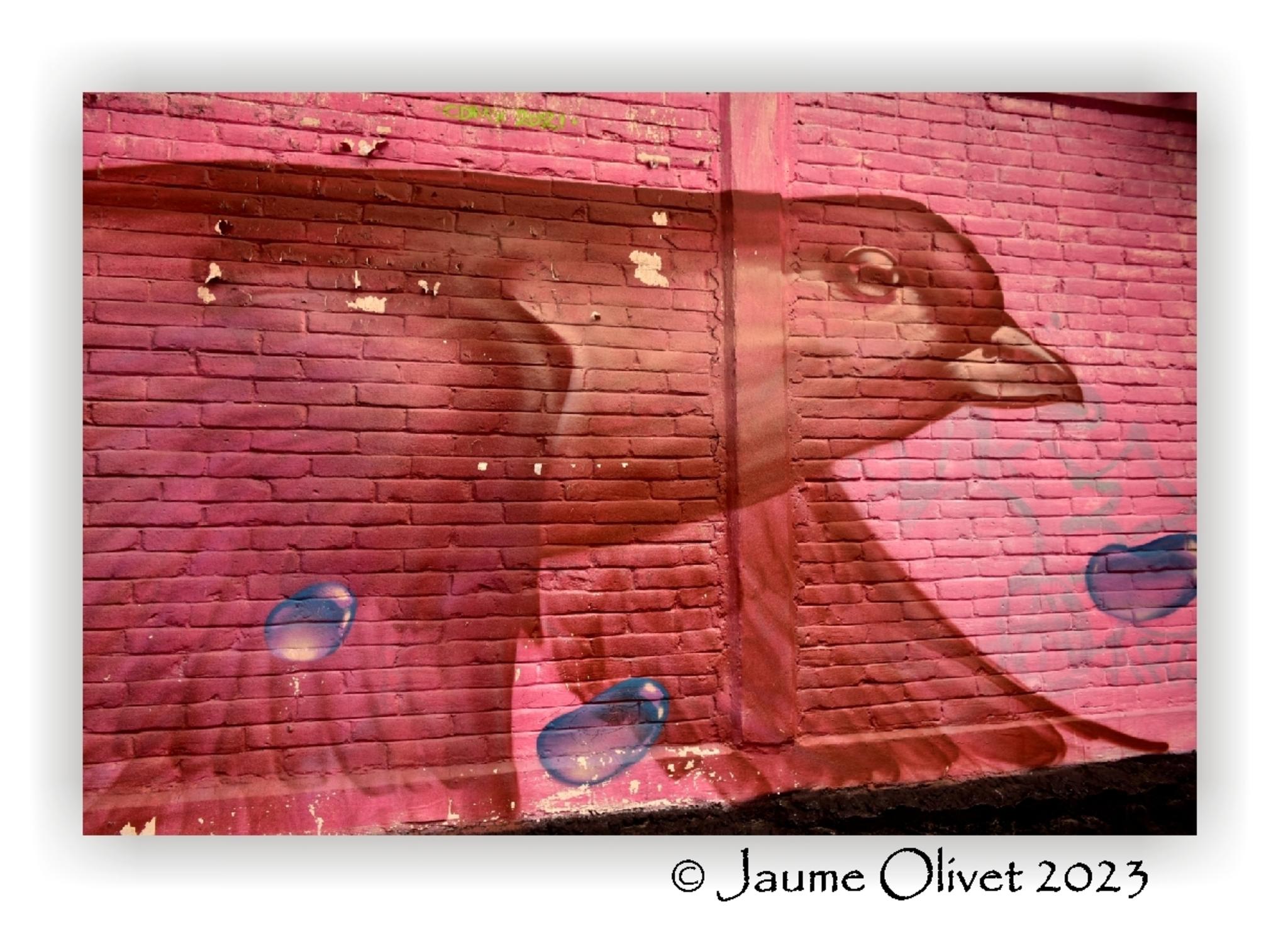  Jaume Olivet 2023