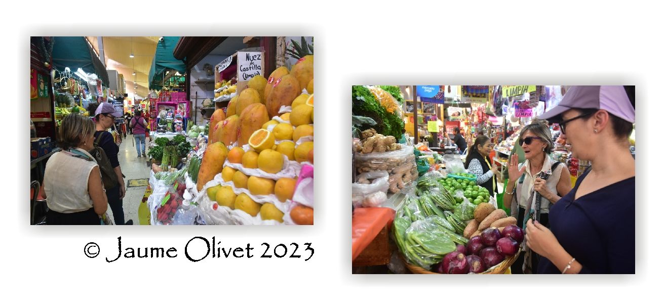  Jaume Olivet 2023