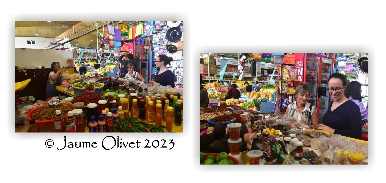  Jaume Olivet 2023