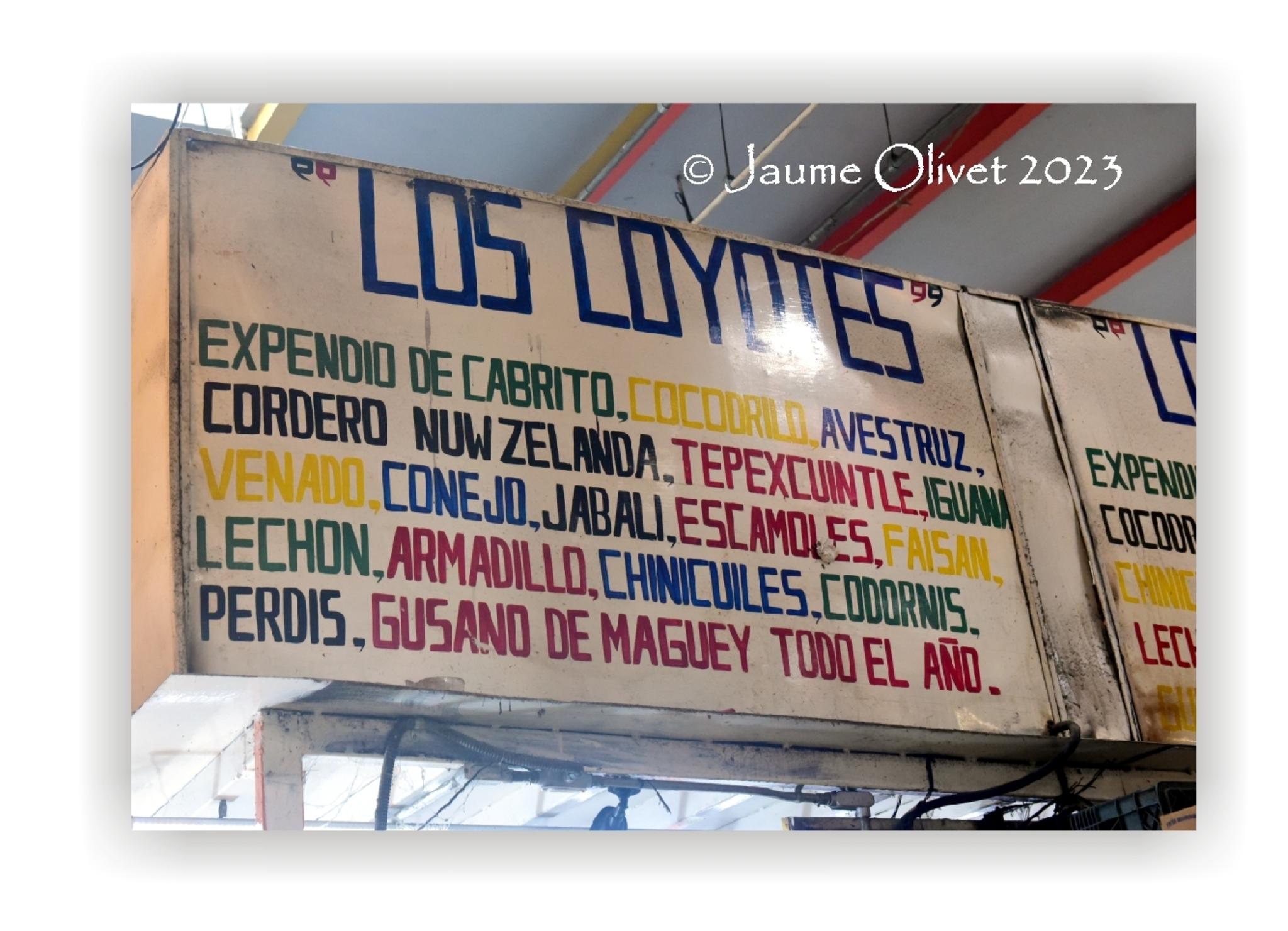  Jaume Olivet 2023