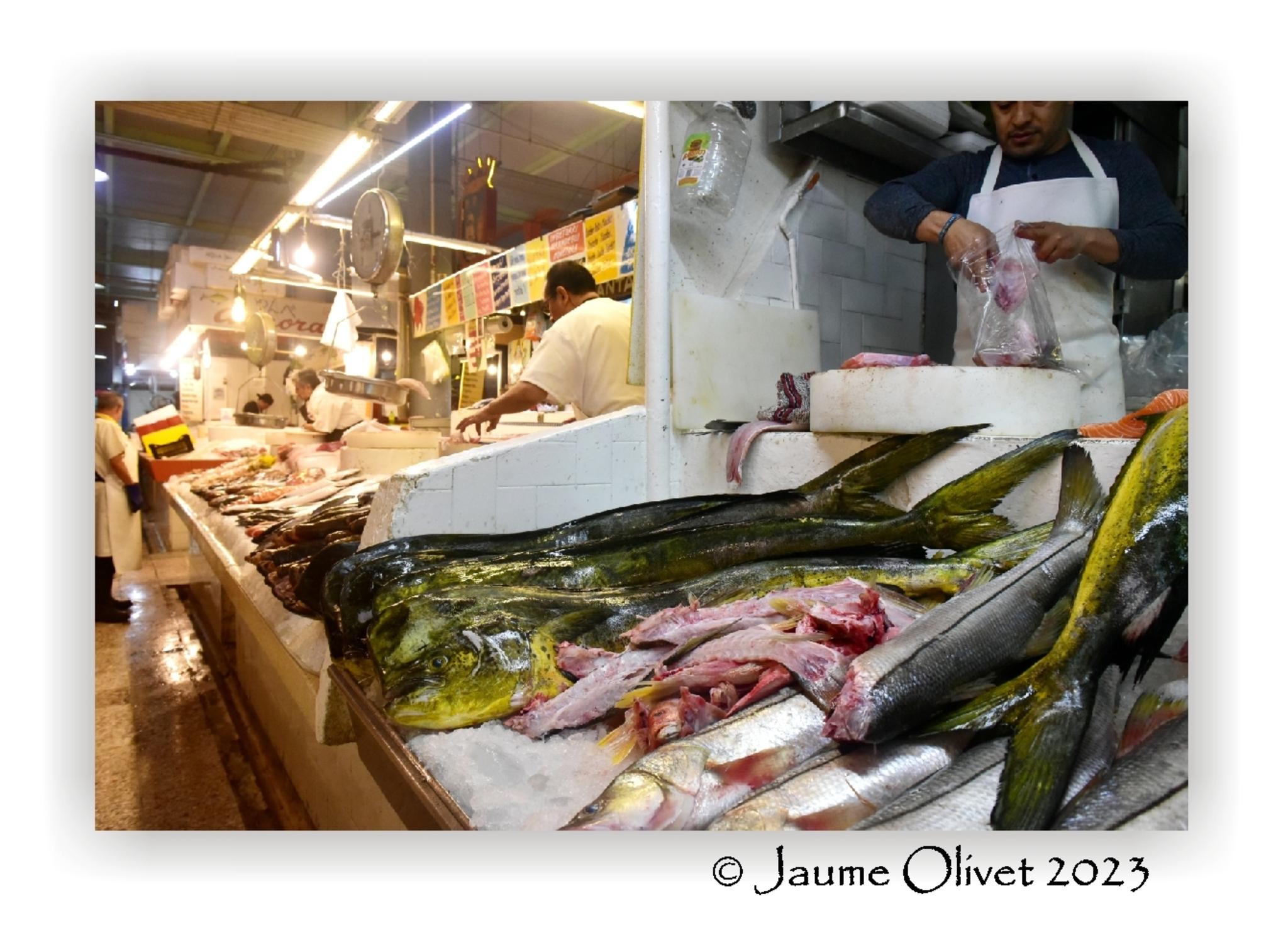  Jaume Olivet 2023