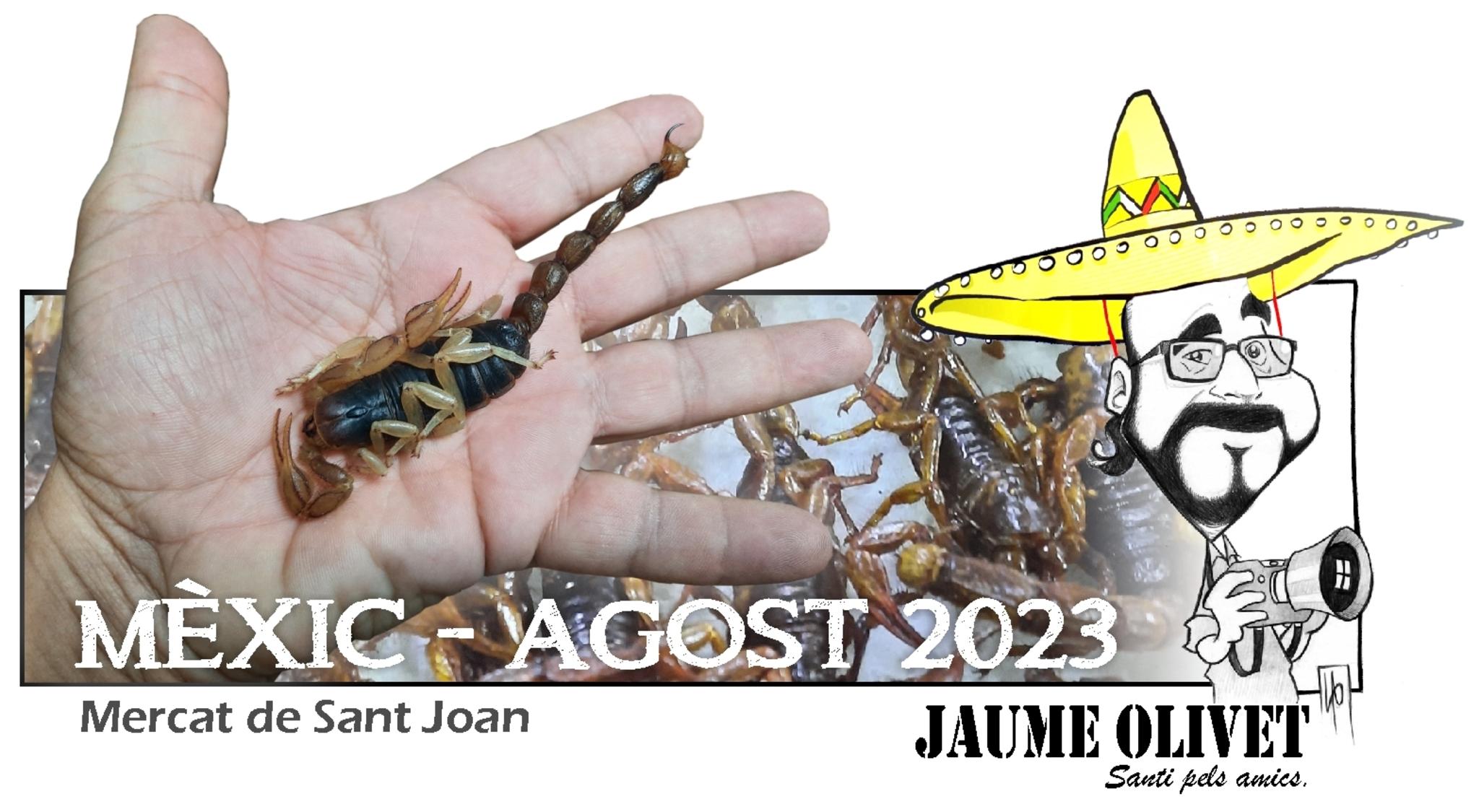  Jaume Olivet 2023