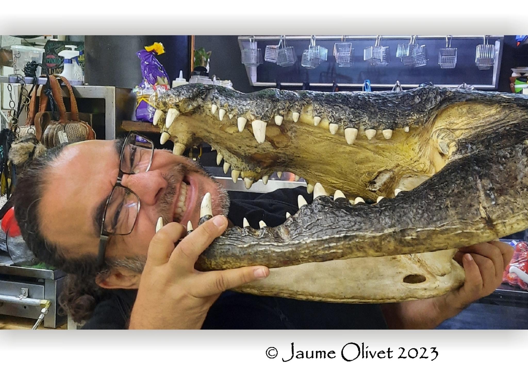  Jaume Olivet 2023