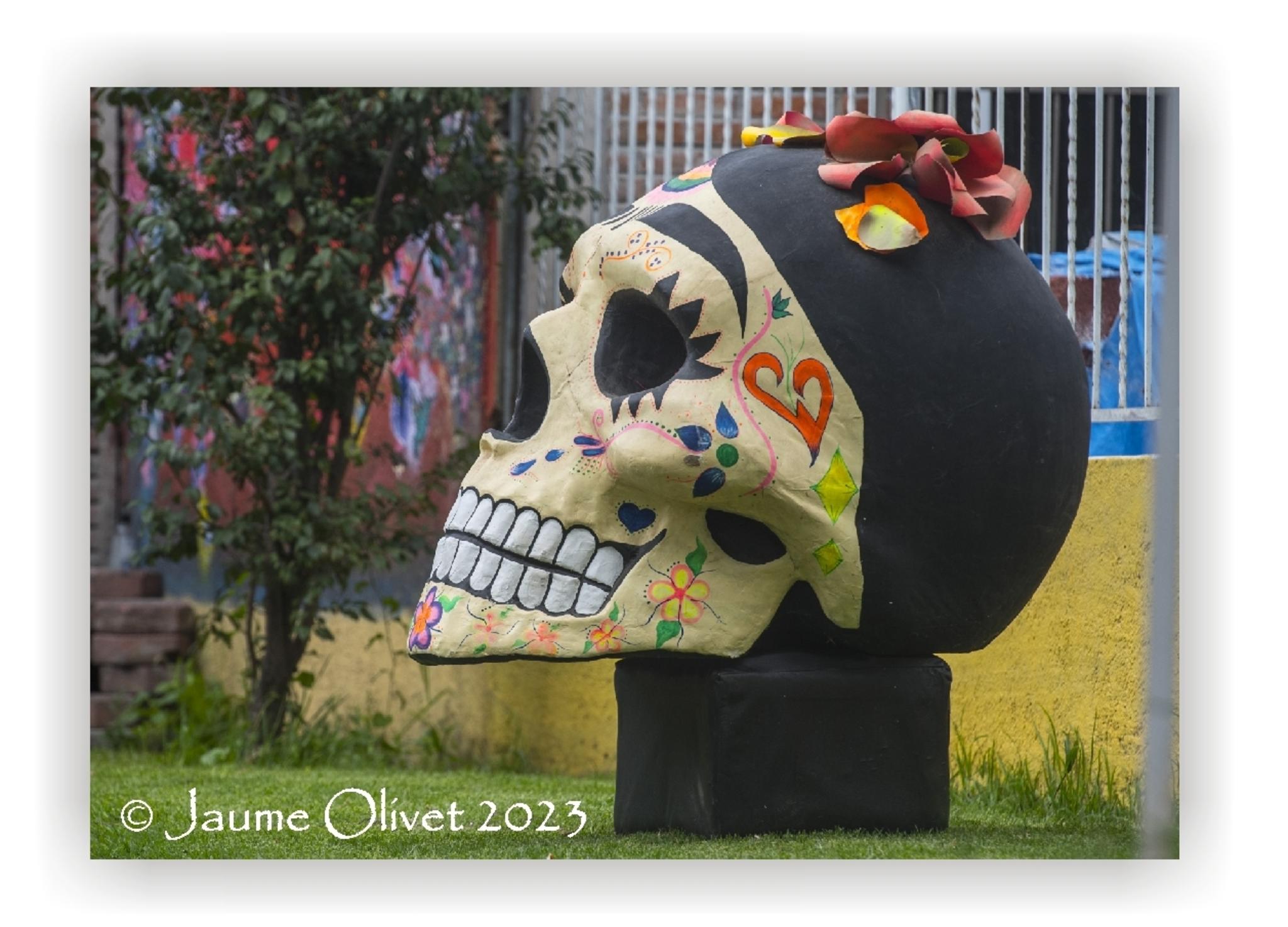  Jaume Olivet 2023