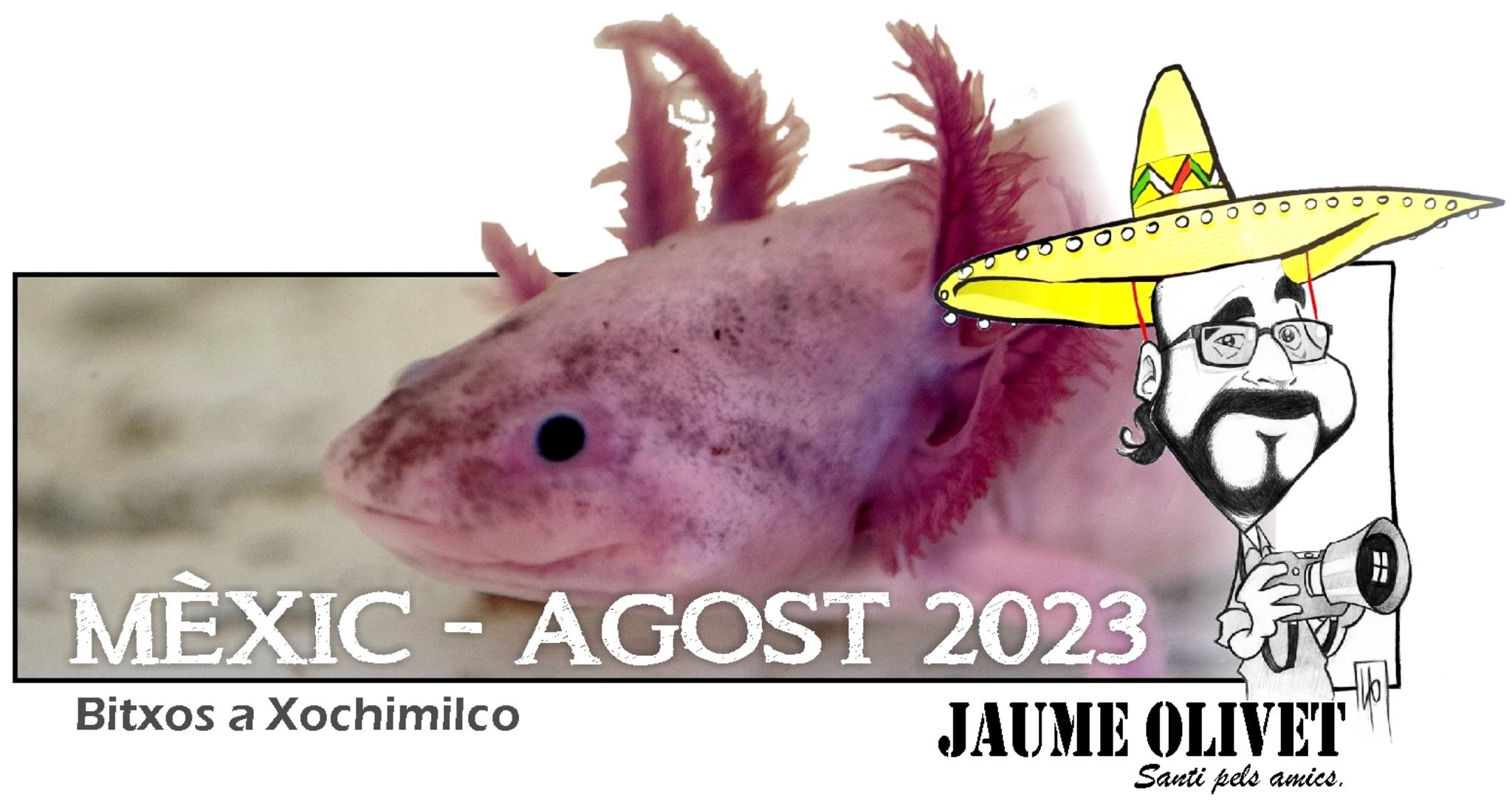  Jaume Olivet 2023