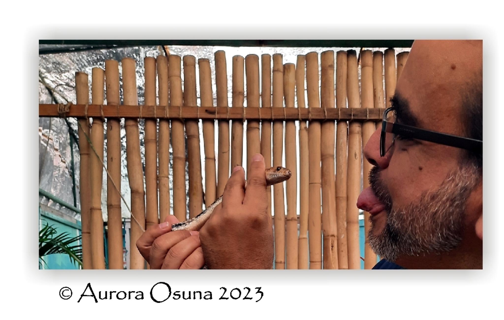  Jaume Olivet 2023