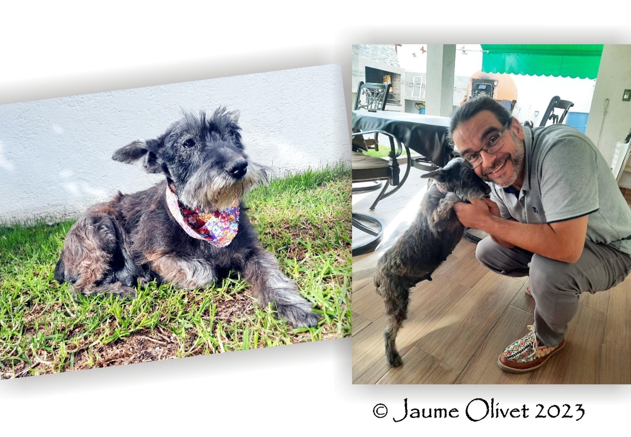  Jaume Olivet 2023
