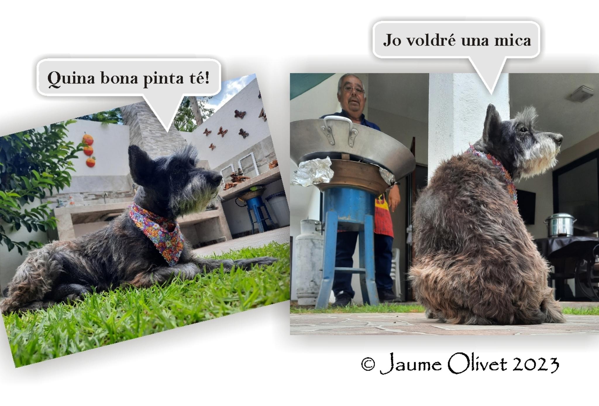  Jaume Olivet 2023