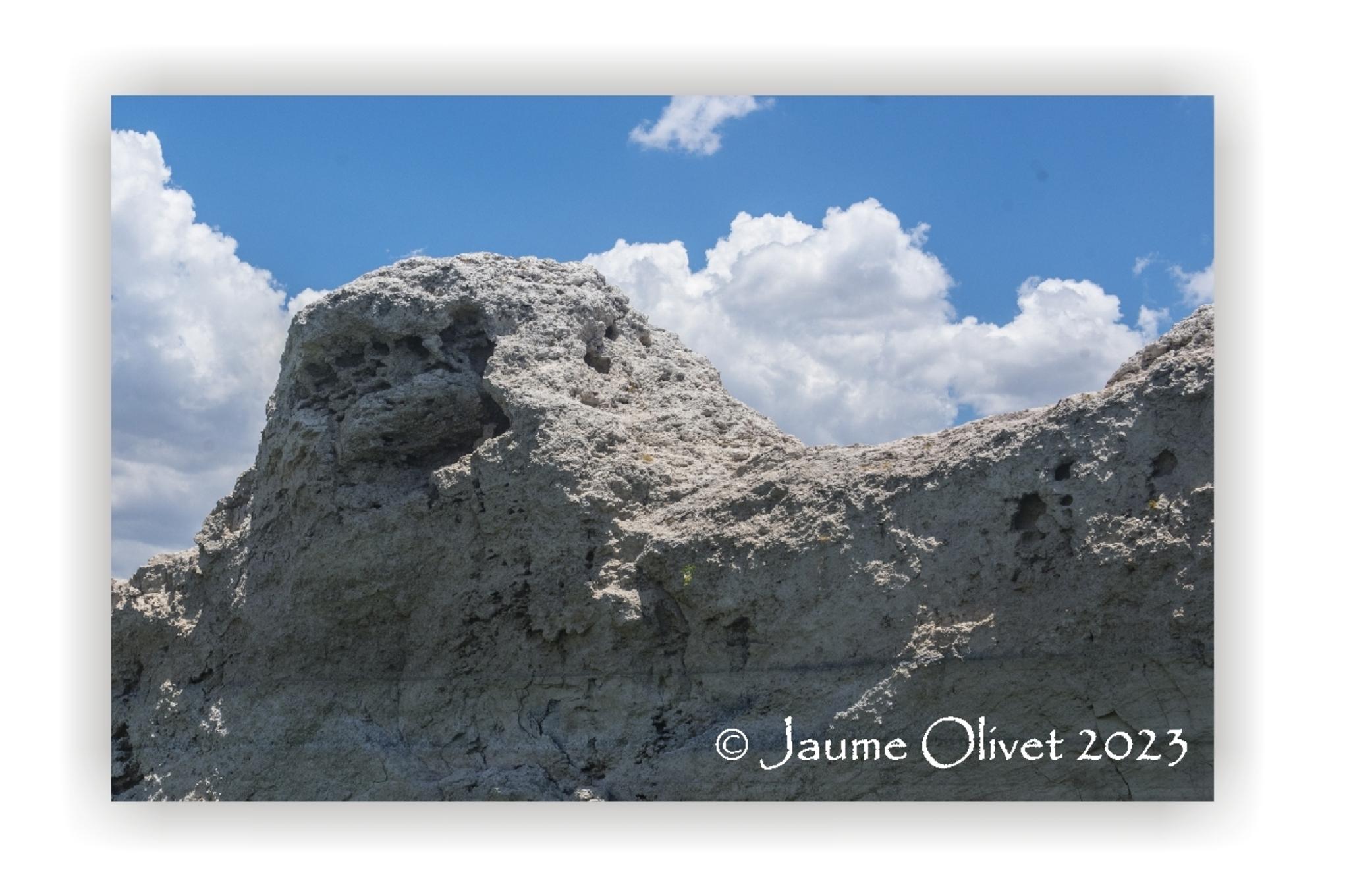  Jaume Olivet 2023