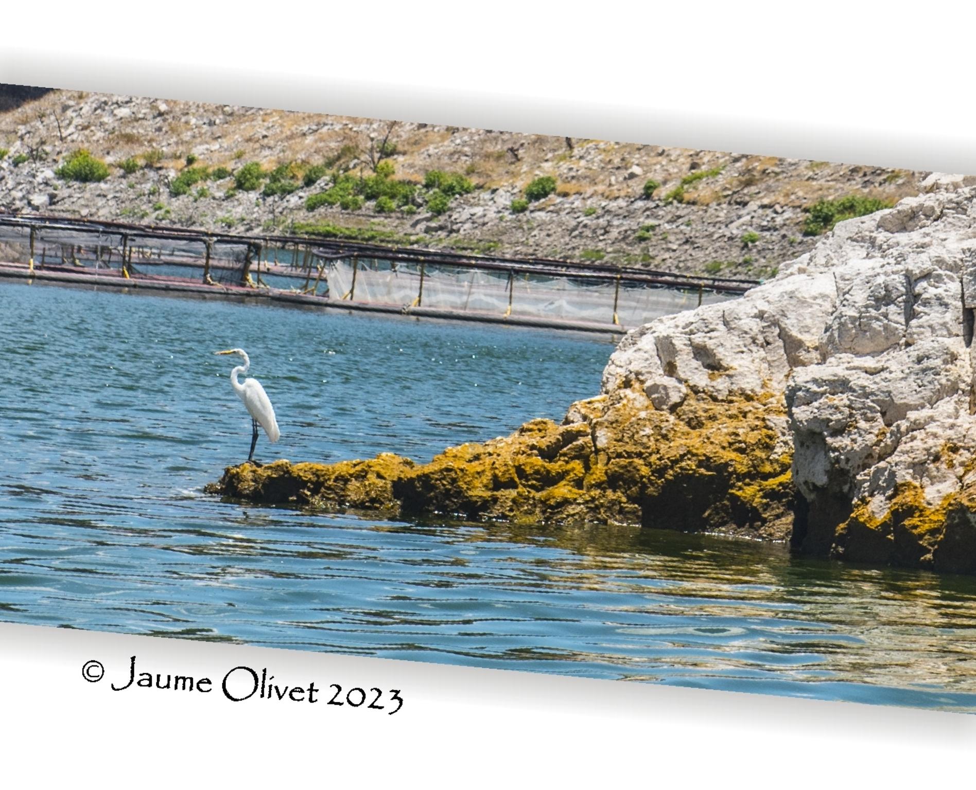  Jaume Olivet 2023