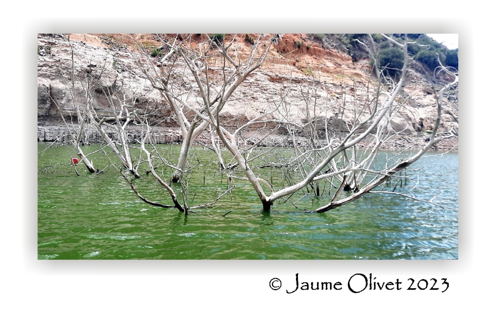  Jaume Olivet 2023