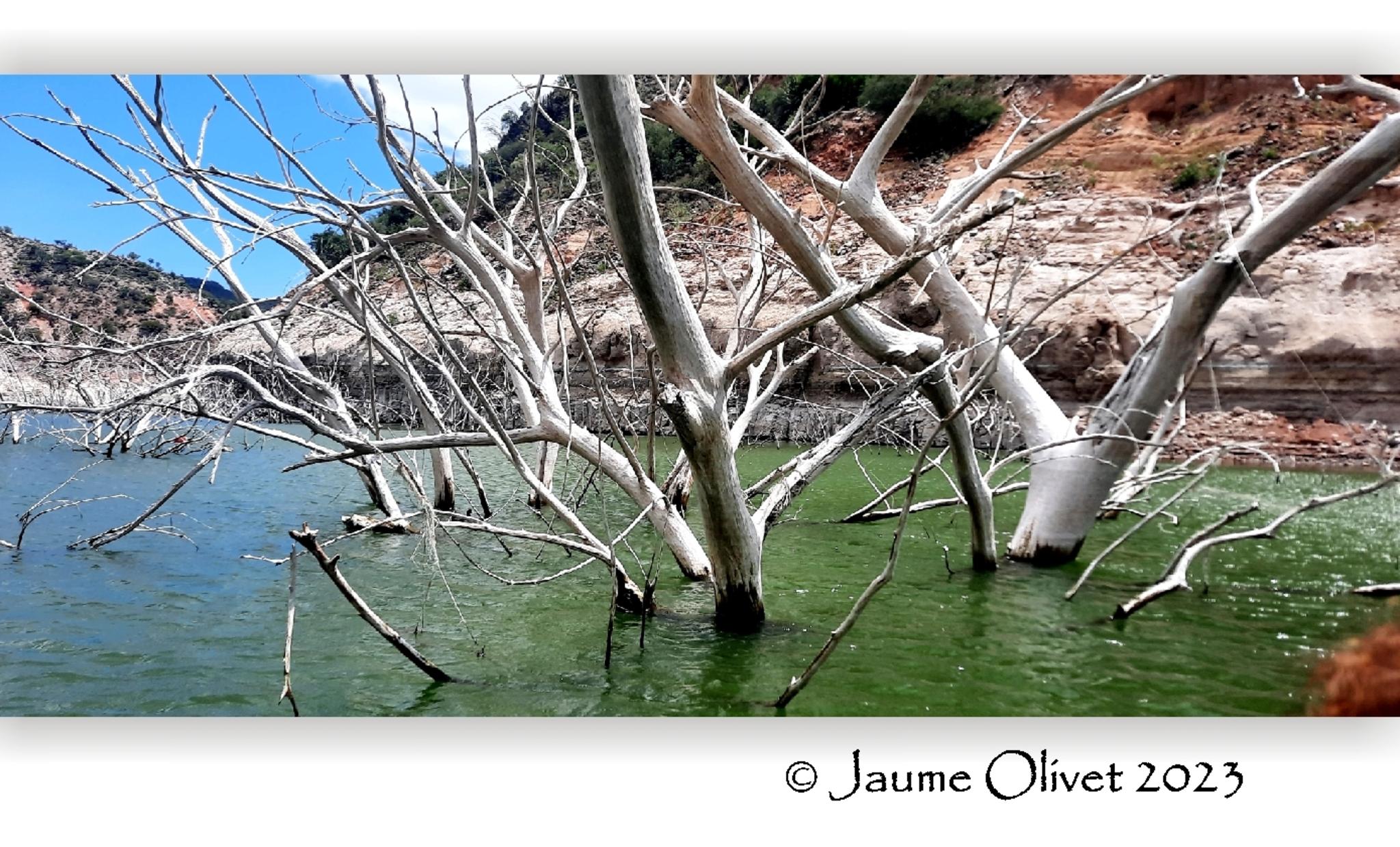  Jaume Olivet 2023