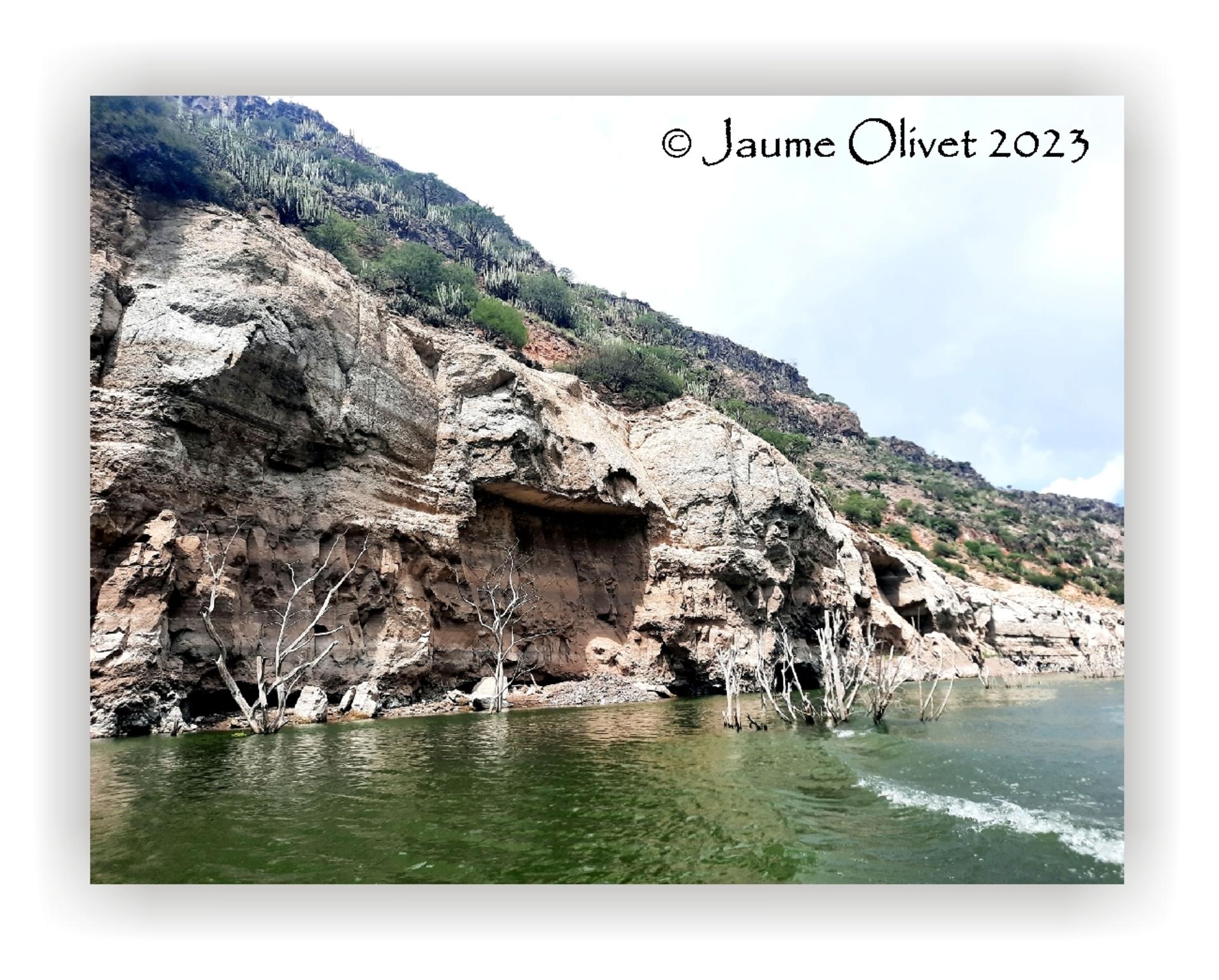  Jaume Olivet 2023