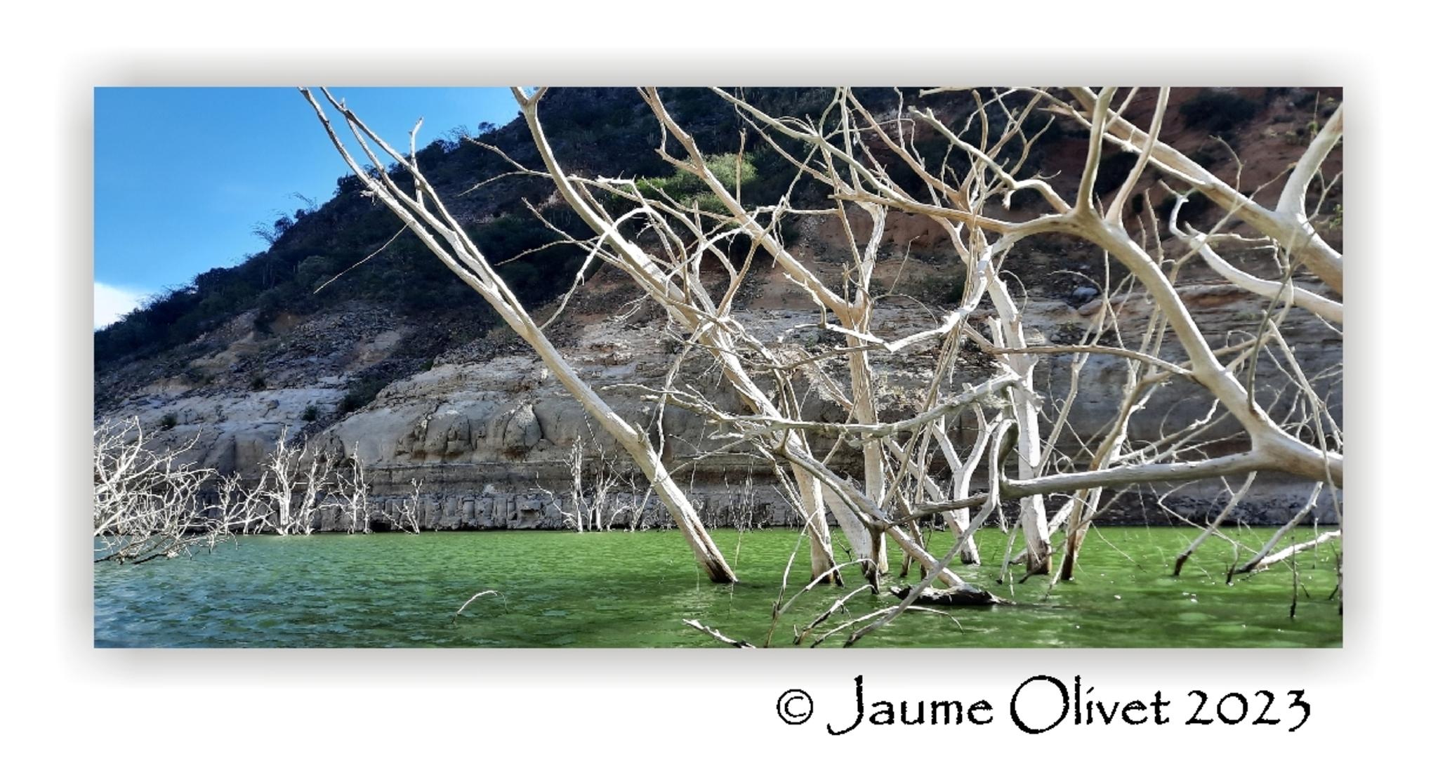  Jaume Olivet 2023