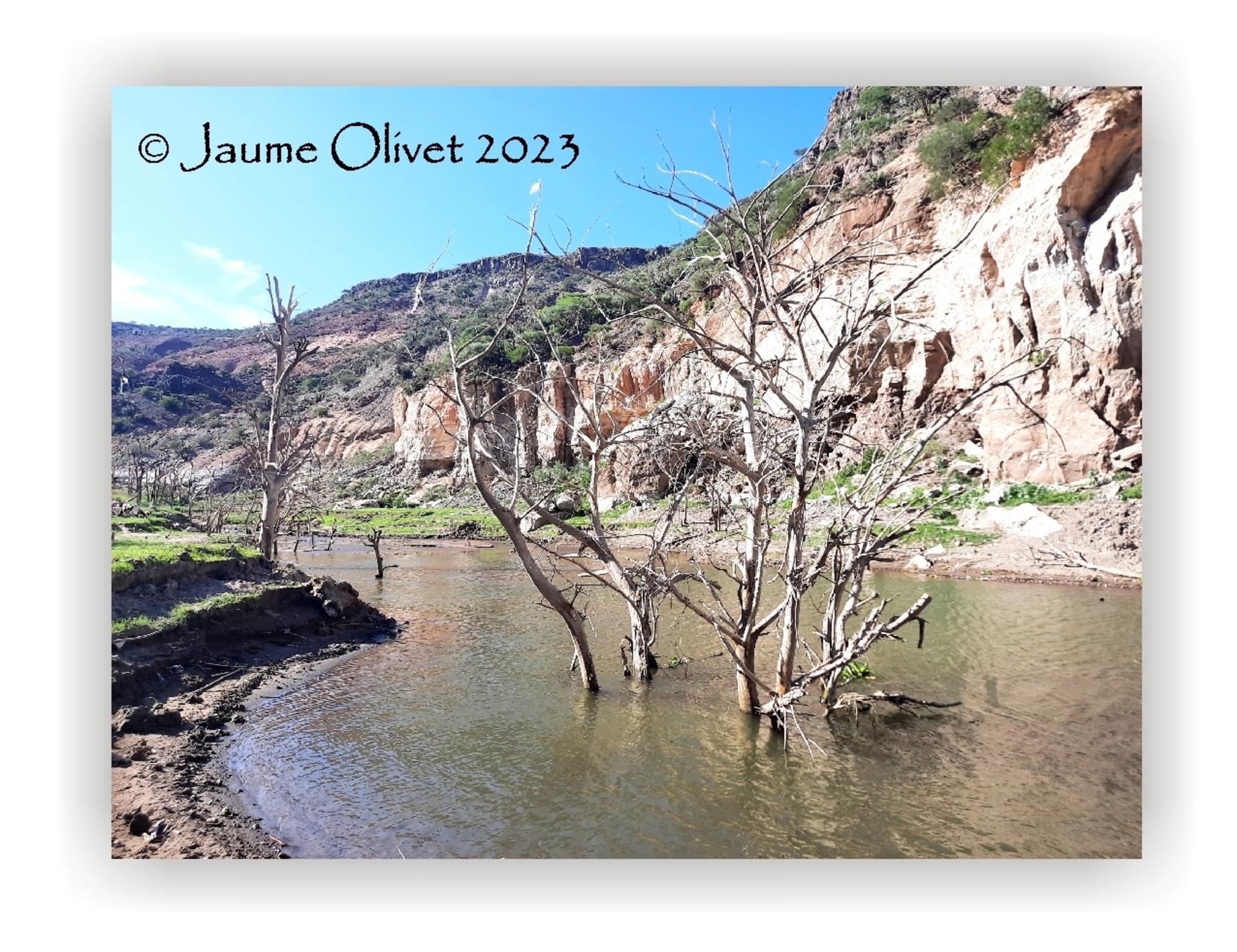  Jaume Olivet 2023