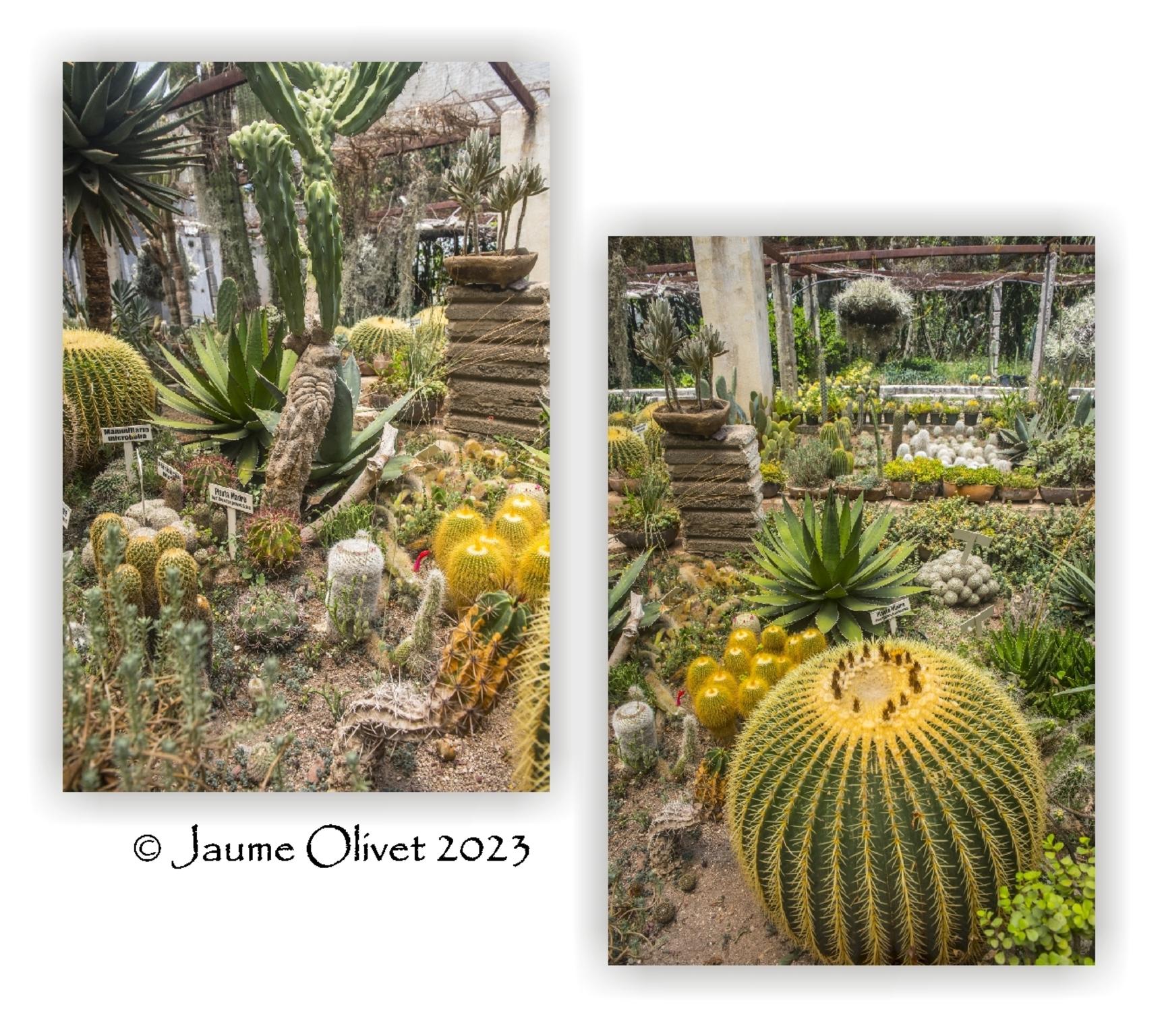  Jaume Olivet 2023
