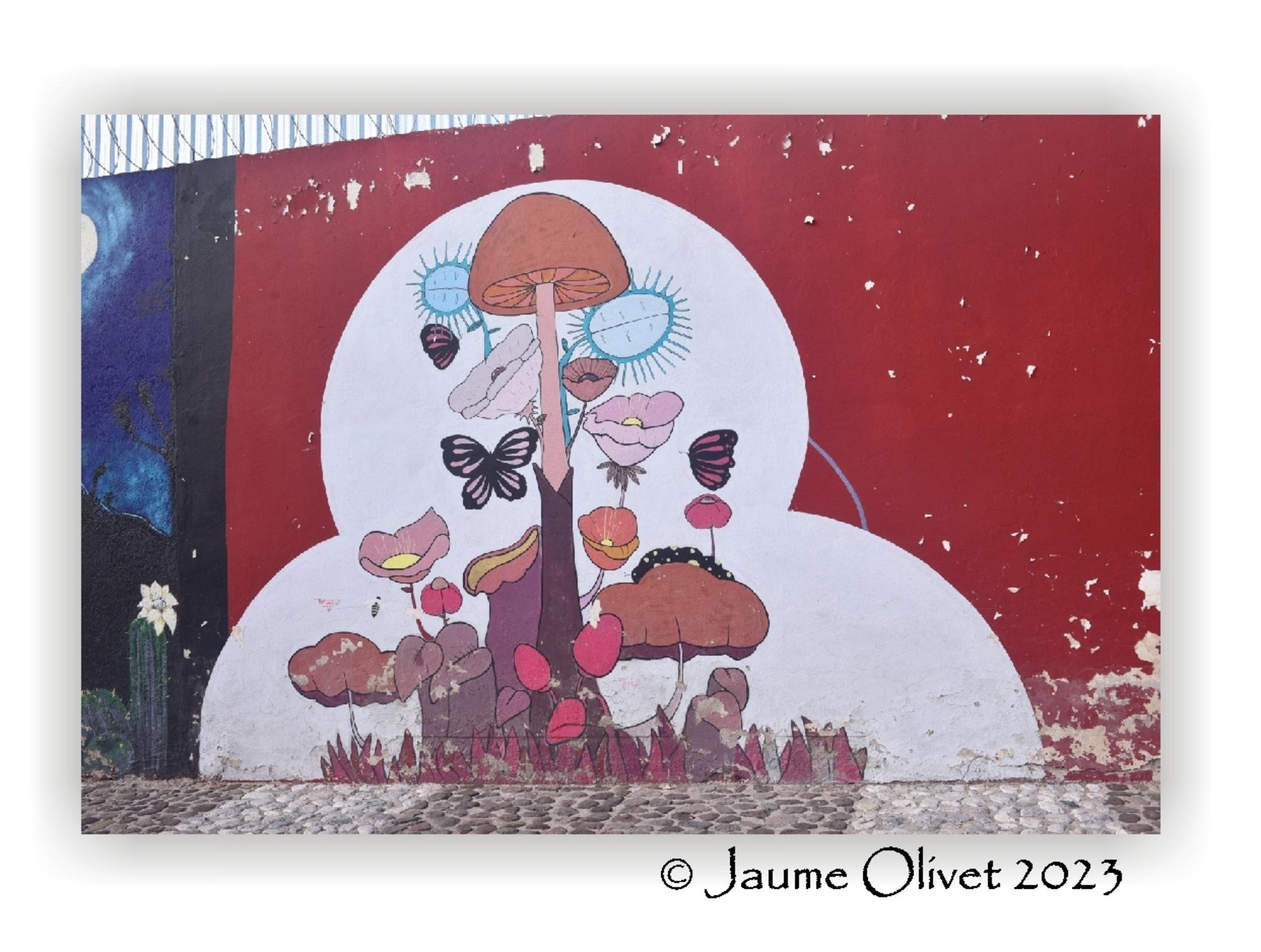  Jaume Olivet 2023