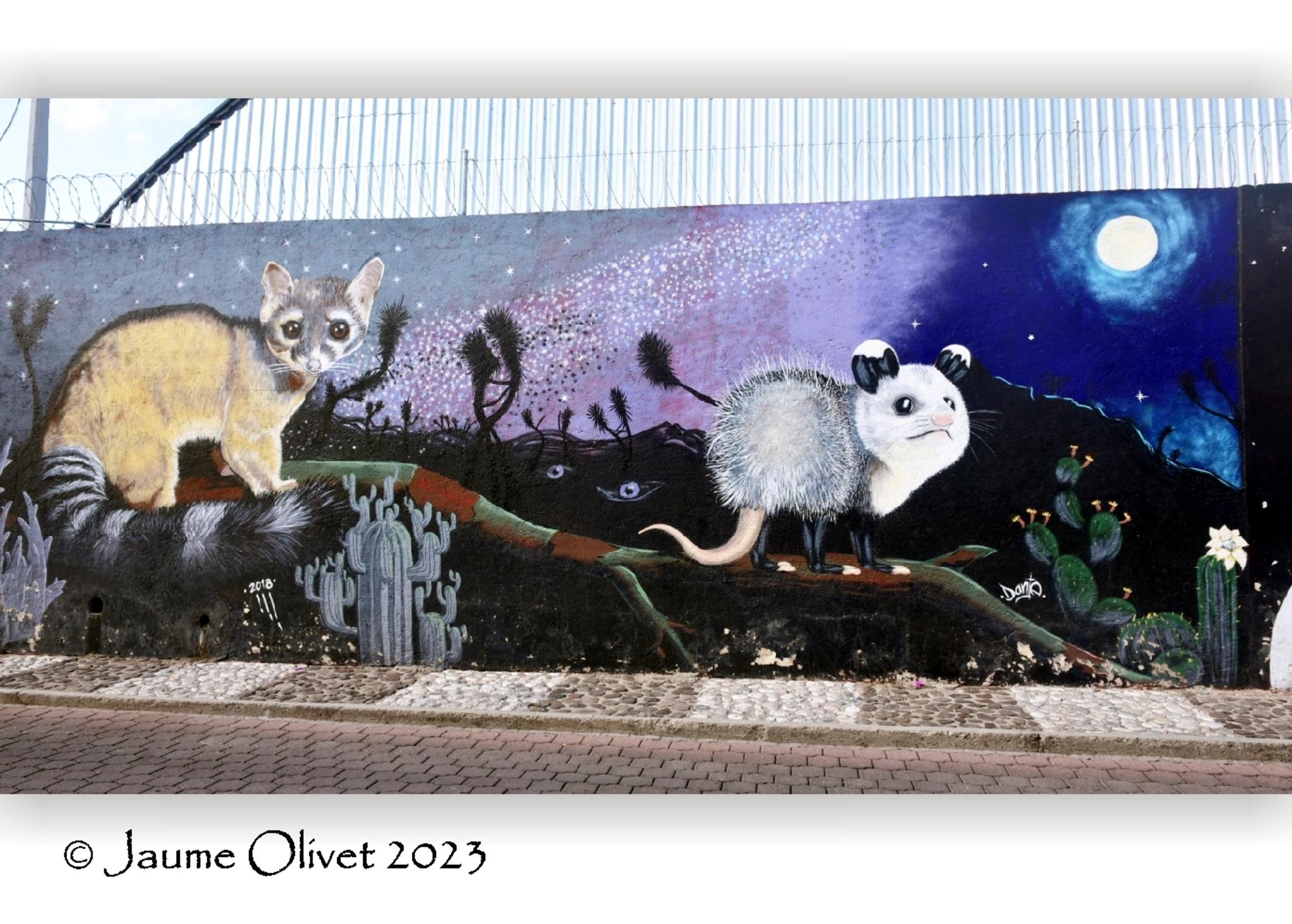  Jaume Olivet 2023