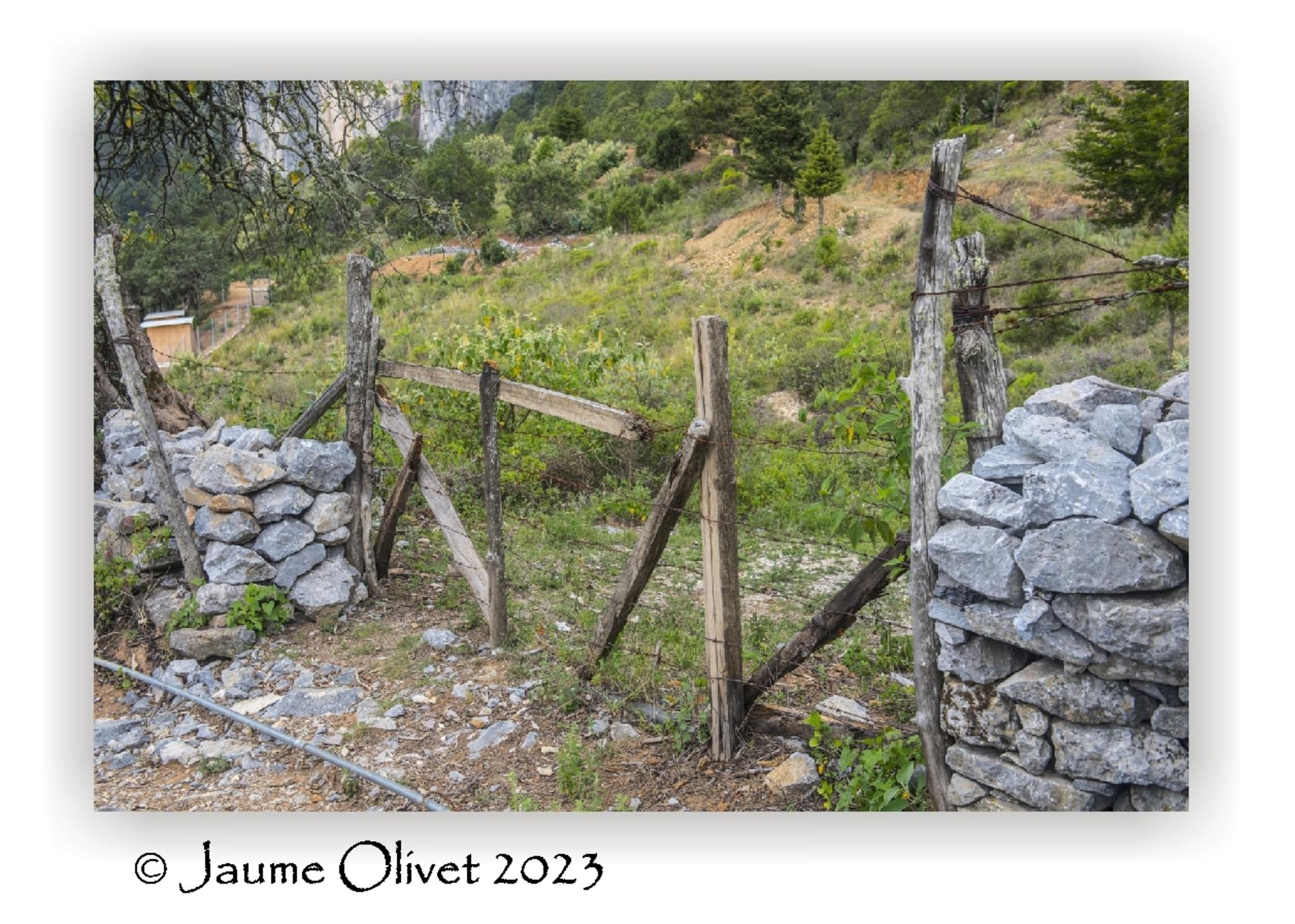  Jaume Olivet 2023