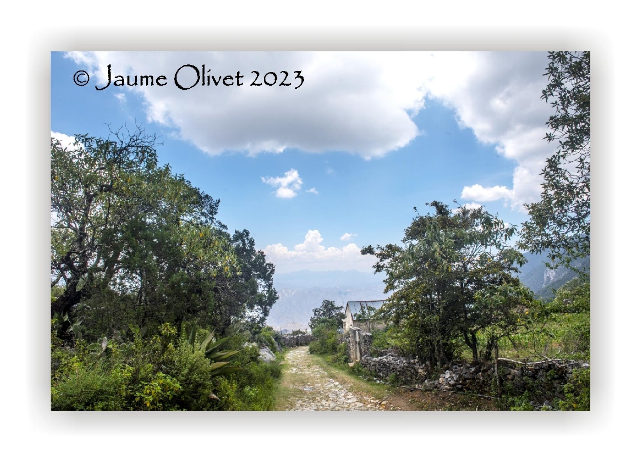  Jaume Olivet 2023