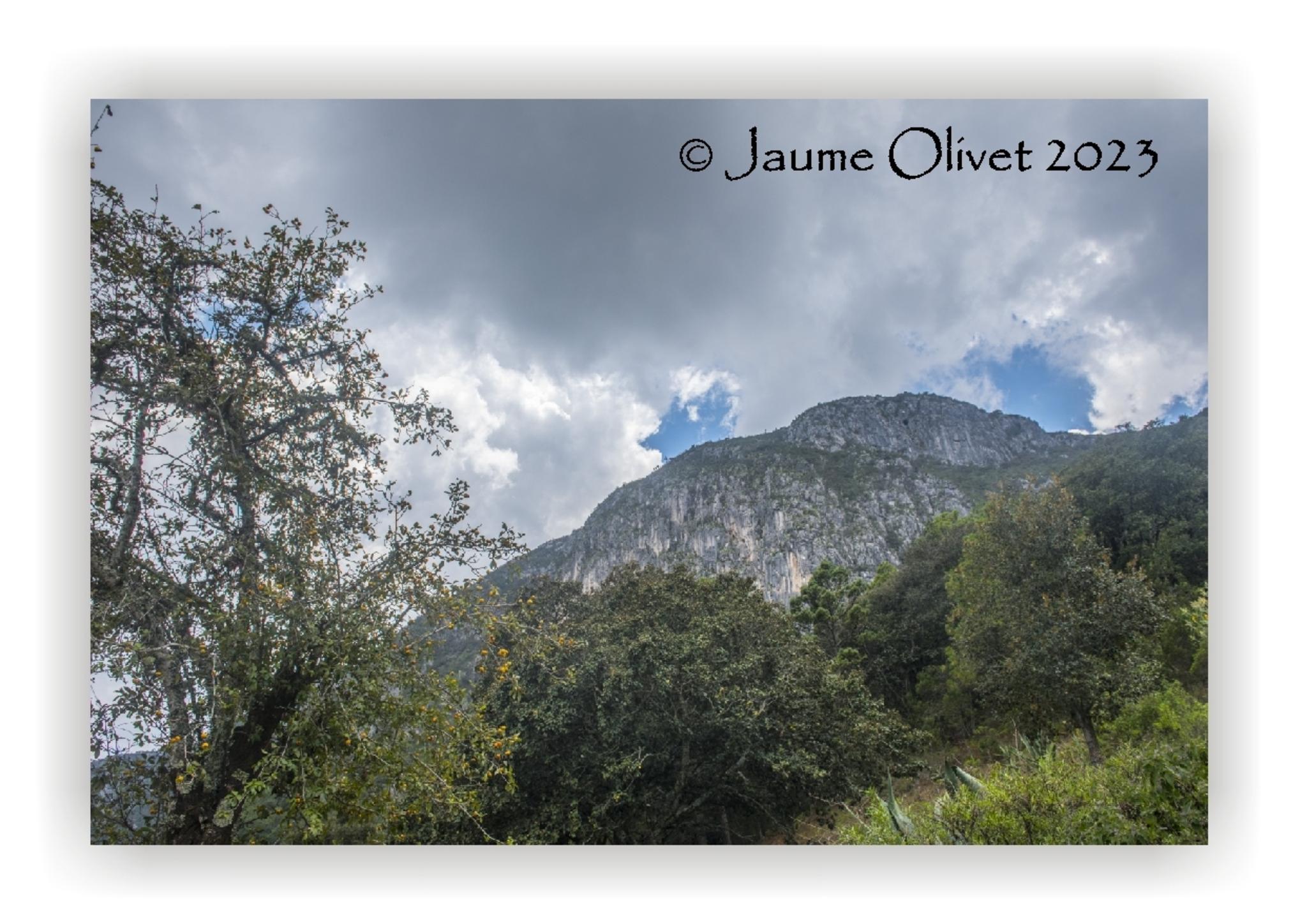  Jaume Olivet 2023