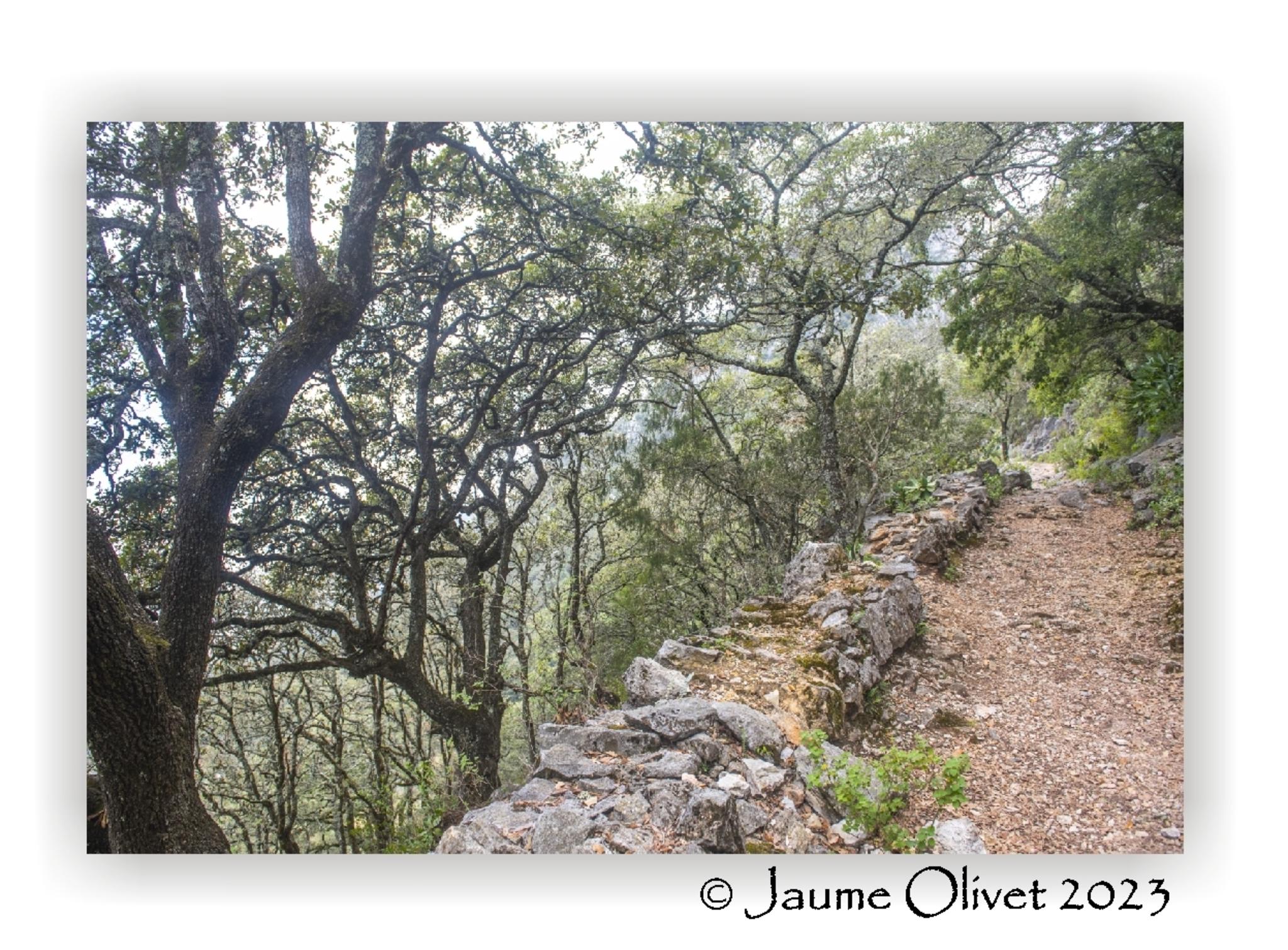  Jaume Olivet 2023