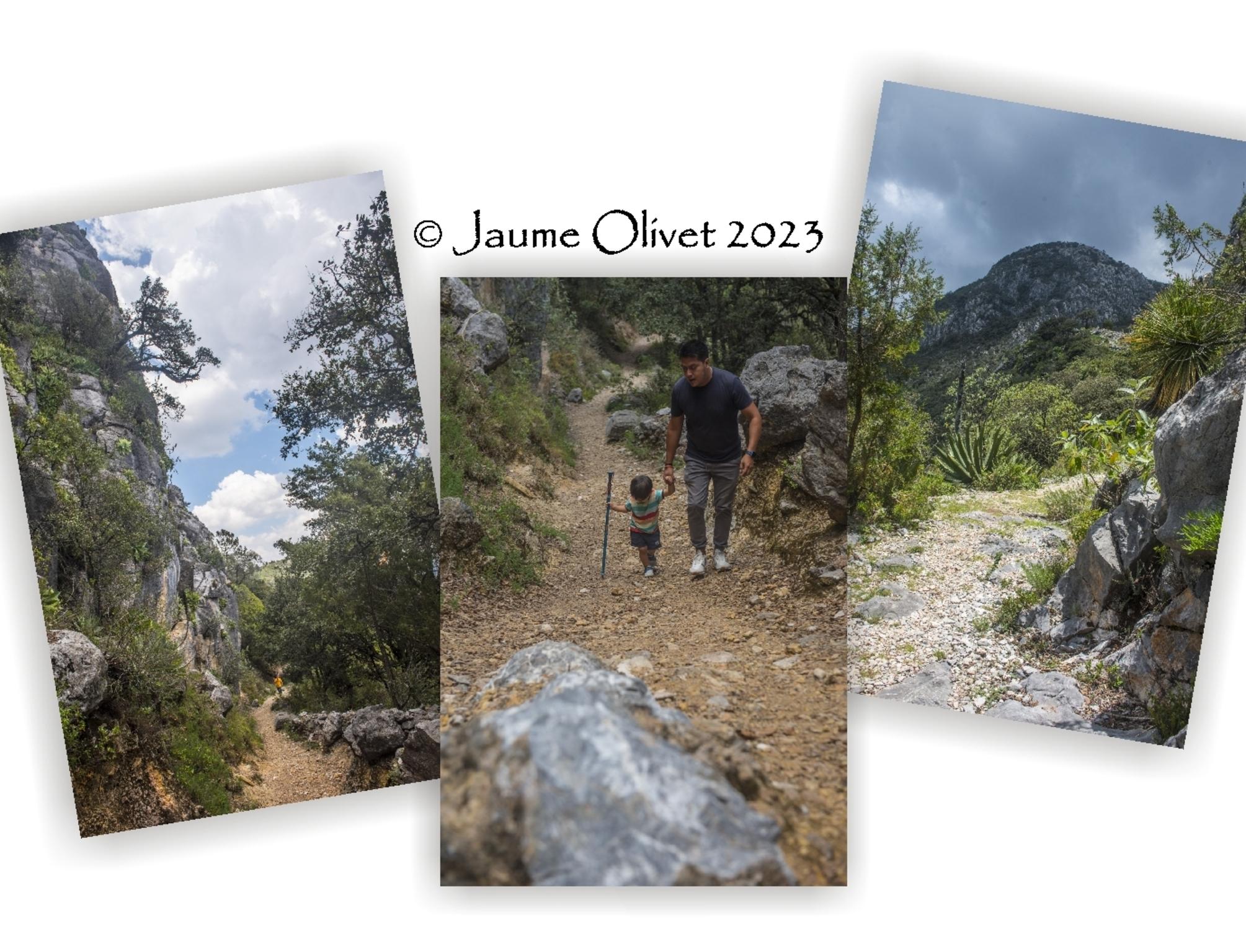  Jaume Olivet 2023