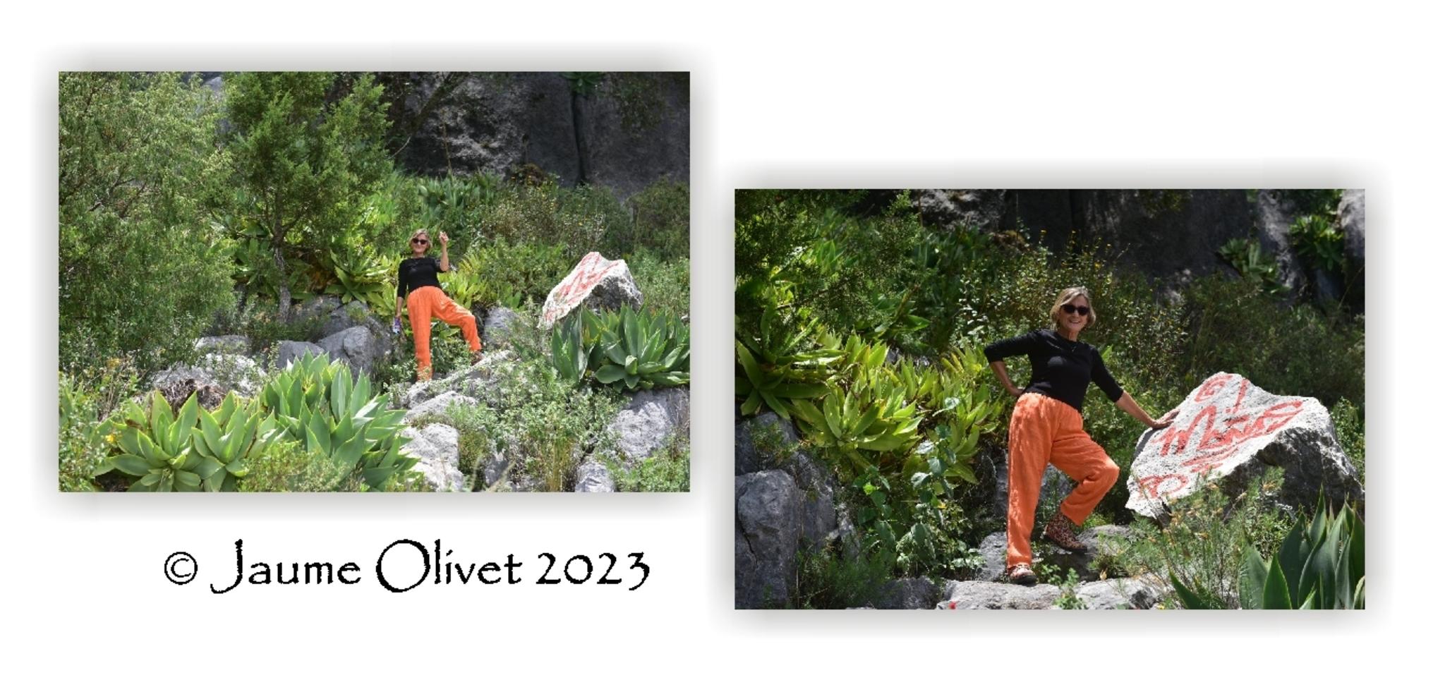  Jaume Olivet 2023