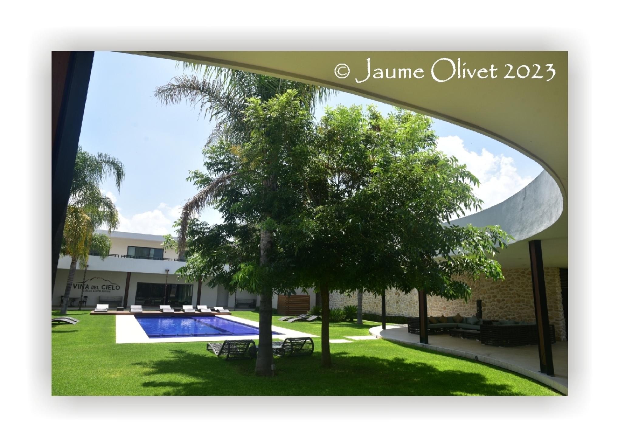  Jaume Olivet 2023