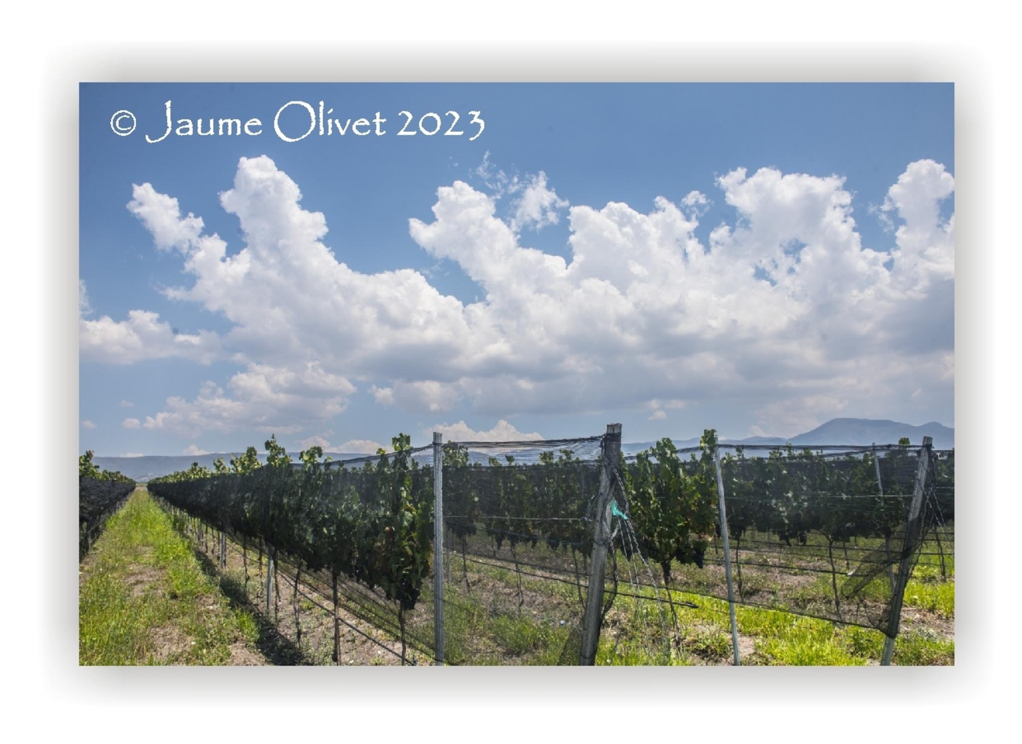  Jaume Olivet 2023