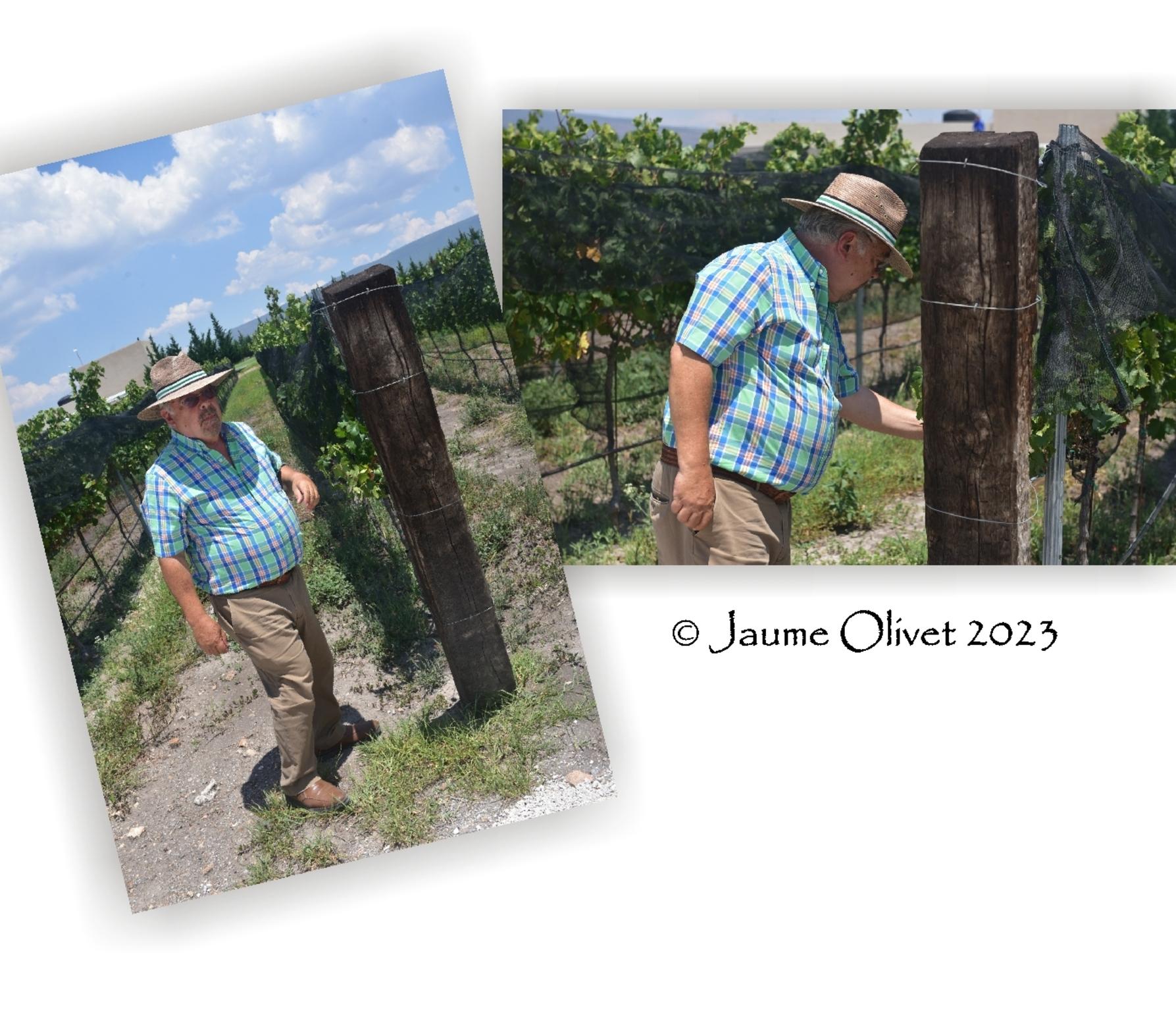  Jaume Olivet 2023