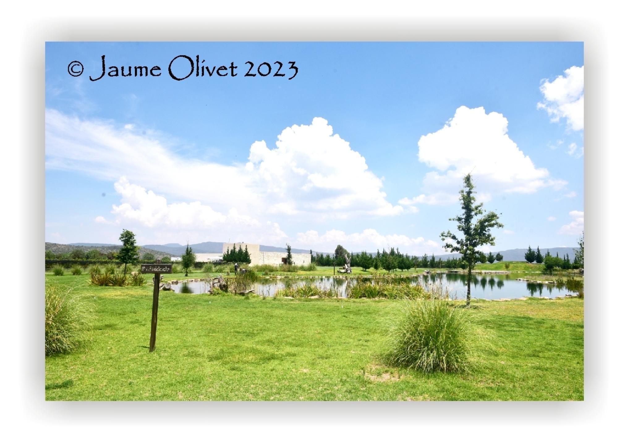  Jaume Olivet 2023