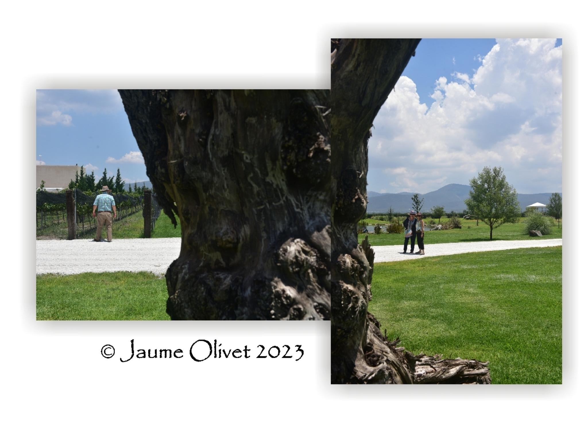  Jaume Olivet 2023