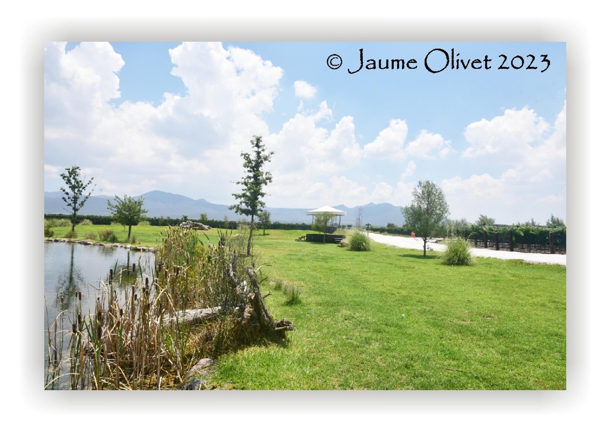  Jaume Olivet 2023