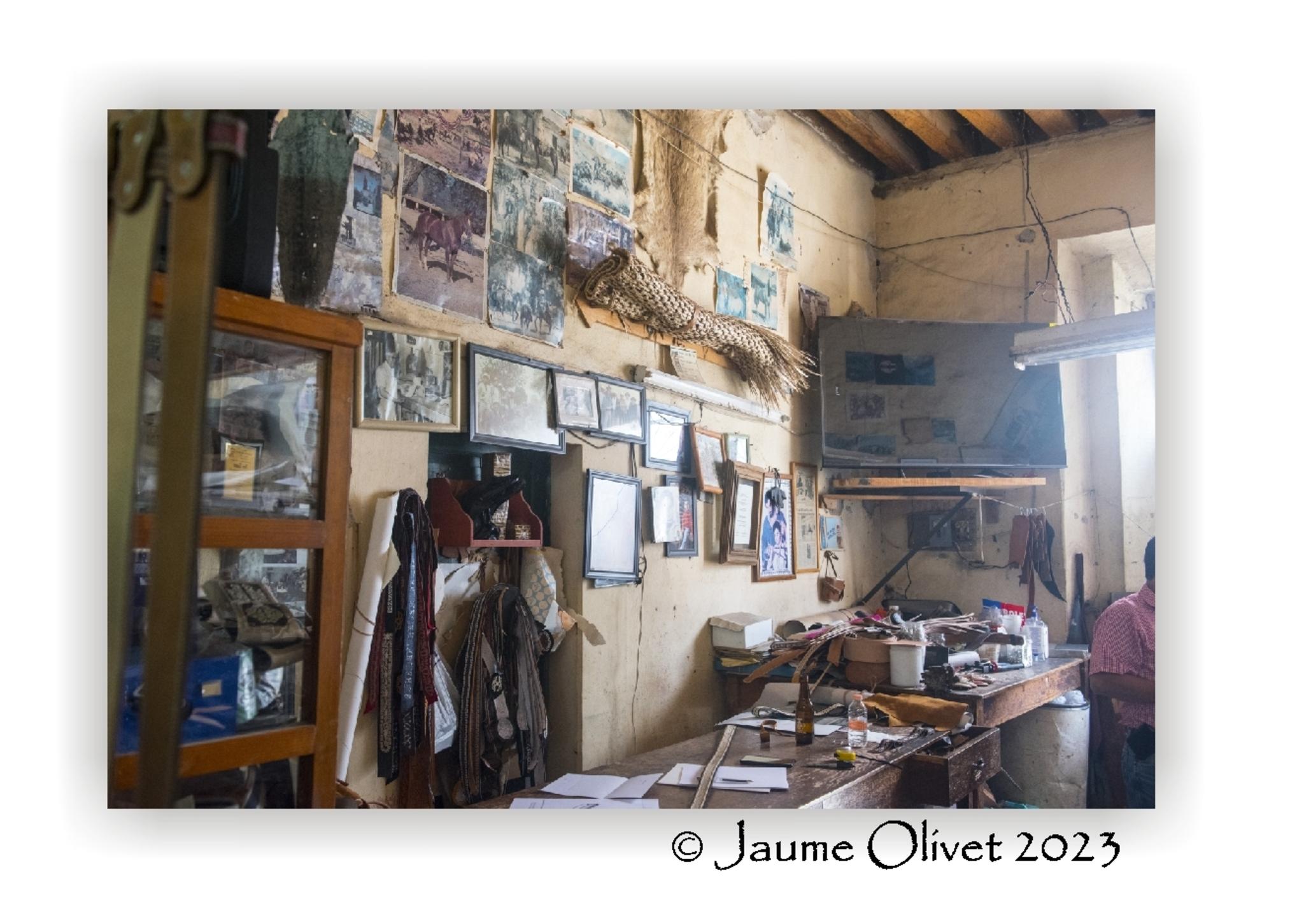  Jaume Olivet 2023