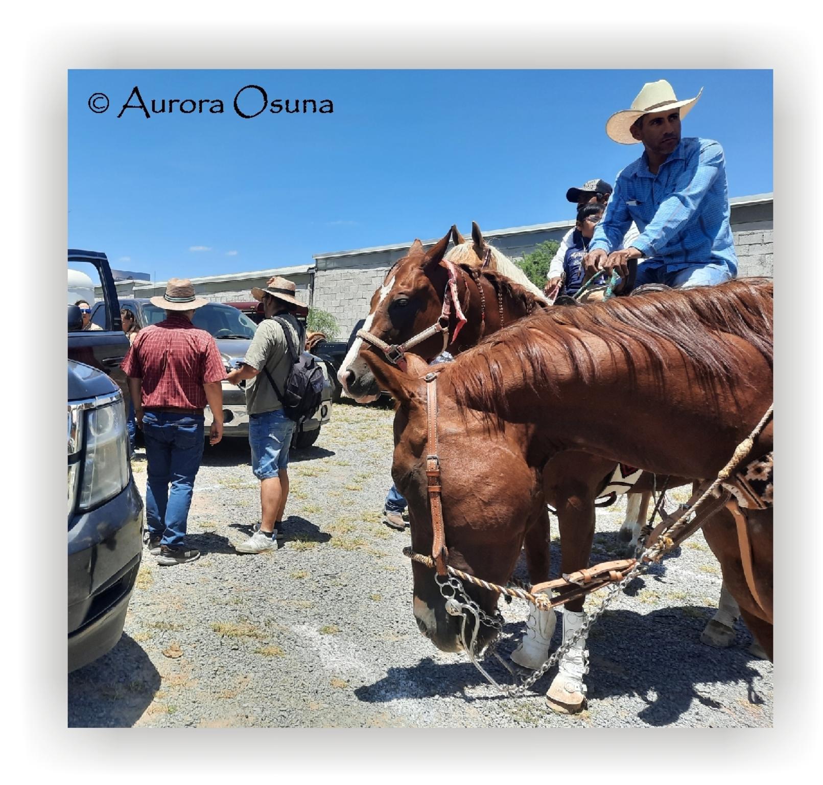  Aurora Osuna 2023