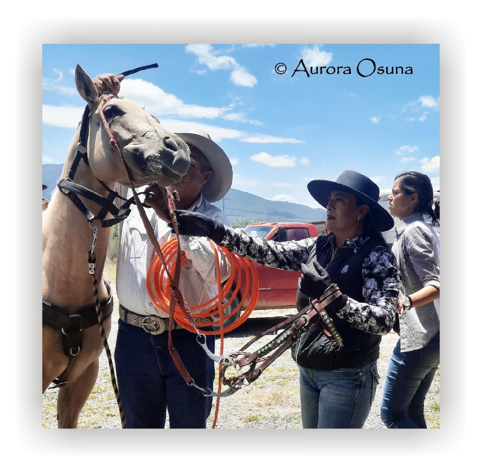  Aurora Osuna 2023