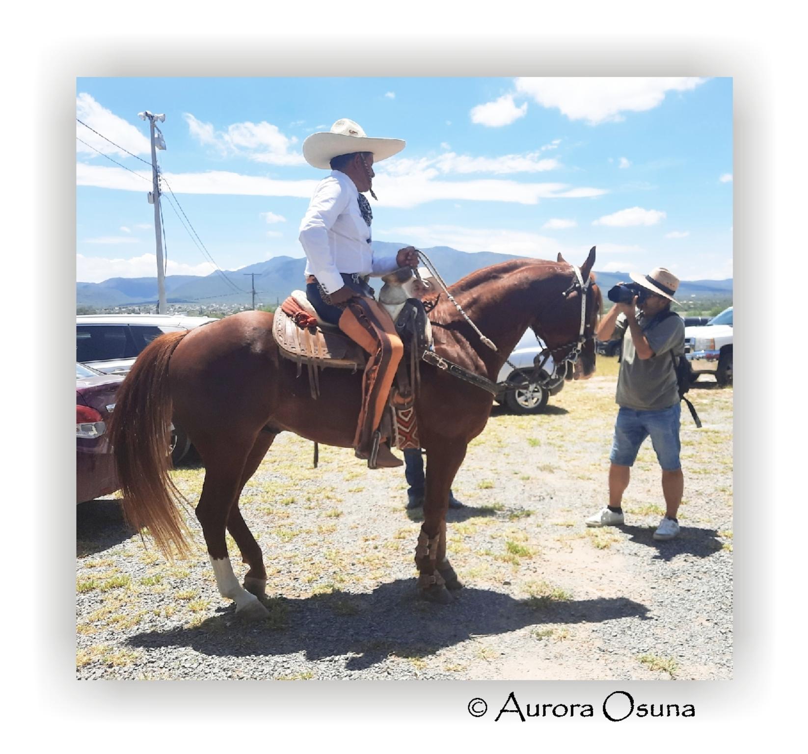  Aurora Osuna 2023