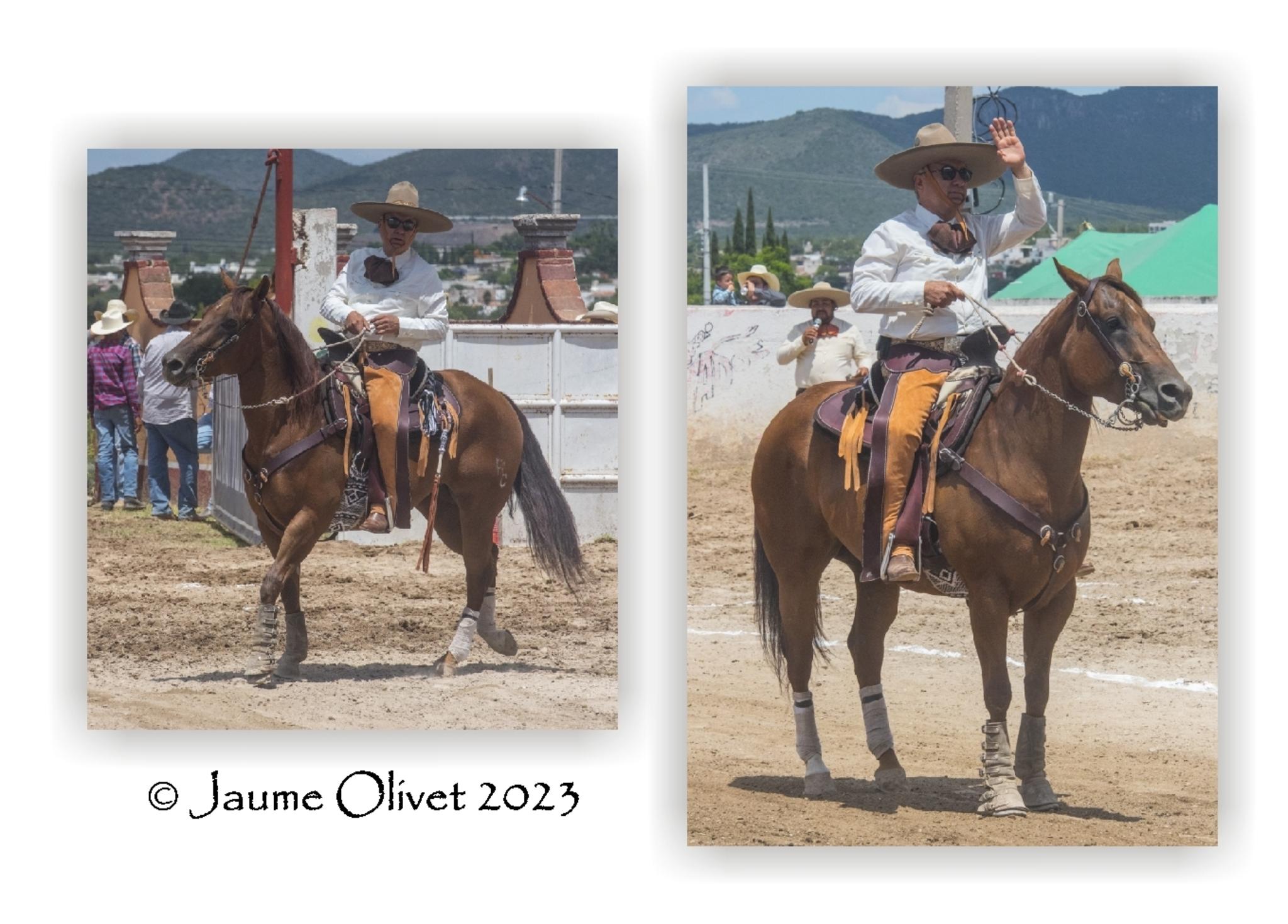  Jaume Olivet 2023