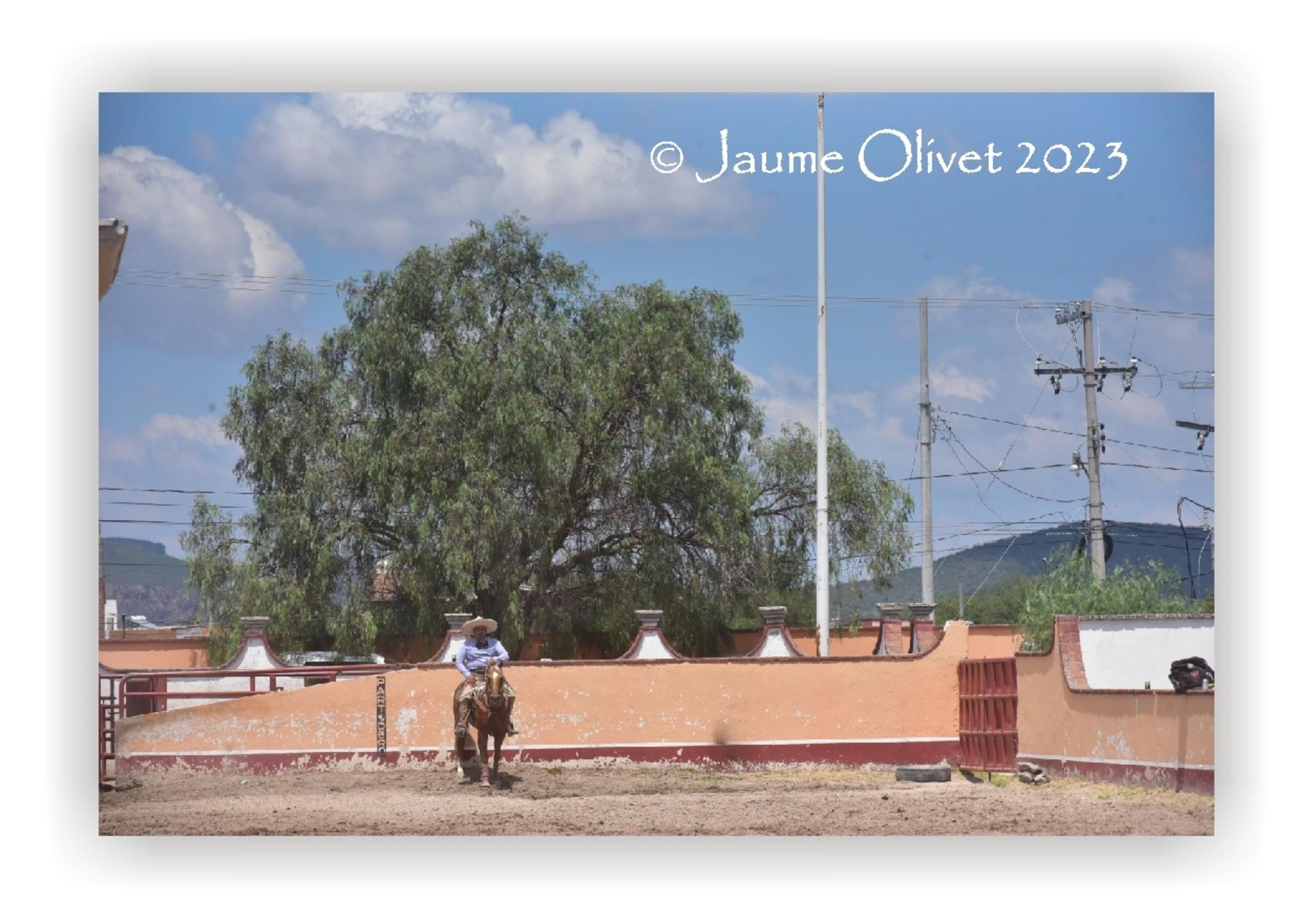  Jaume Olivet 2023
