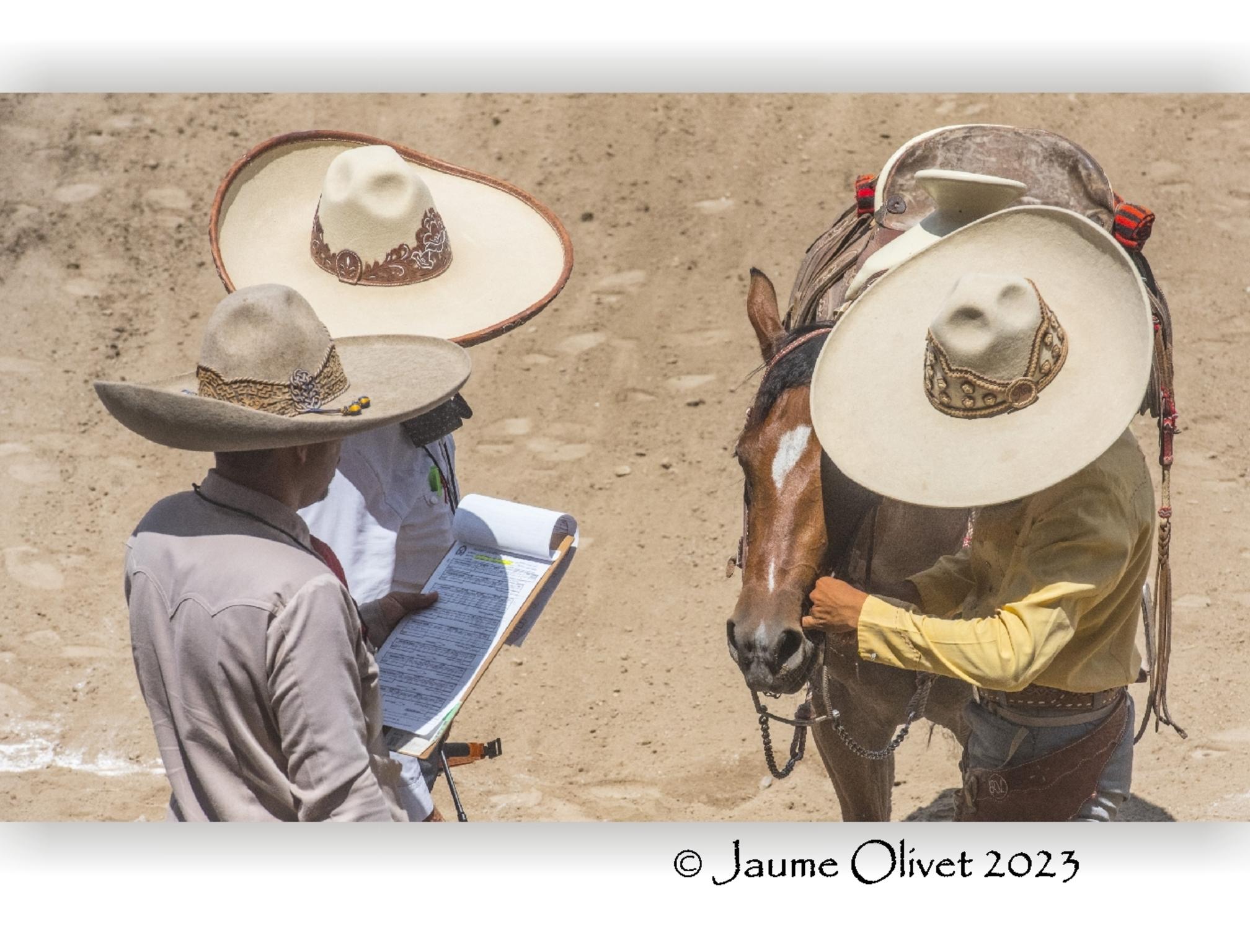  Jaume Olivet 2023