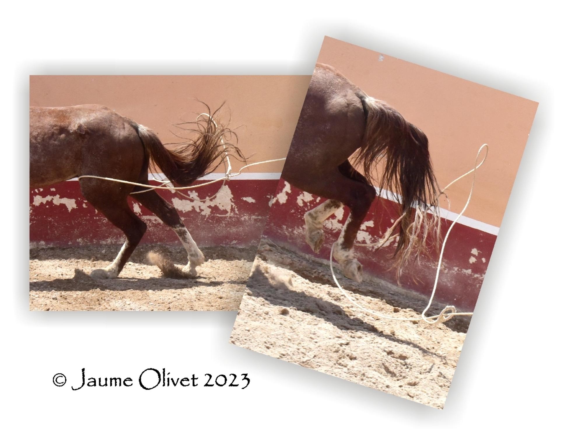  Jaume Olivet 2023